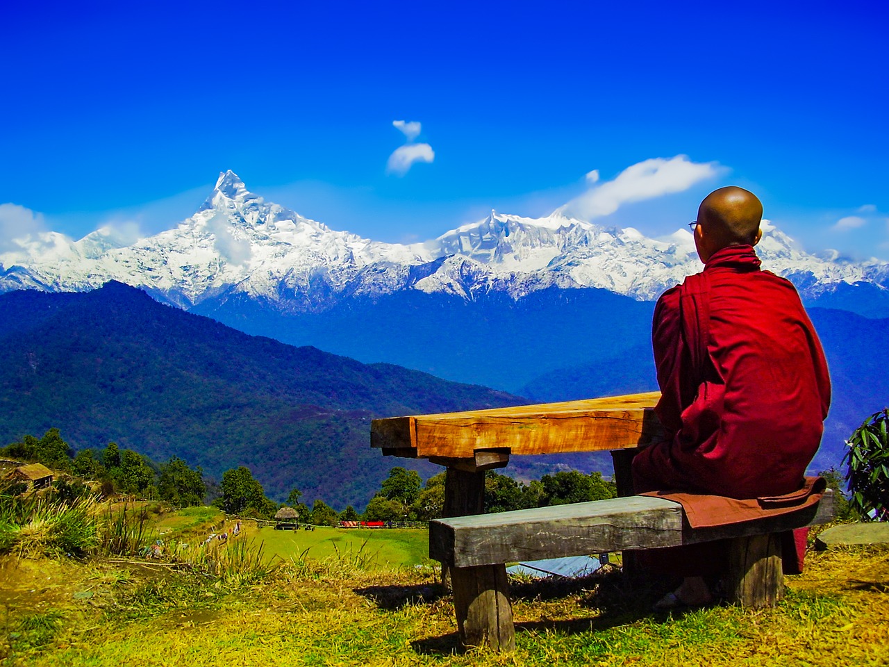Force does exist in nature, but with my Zen, my nature is only to love Force does exist in nature, but with my Zen, my nature is only to love