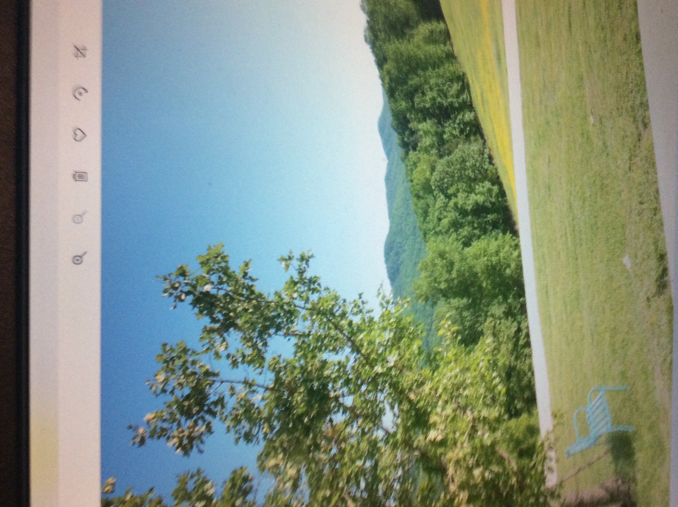My picture My picture