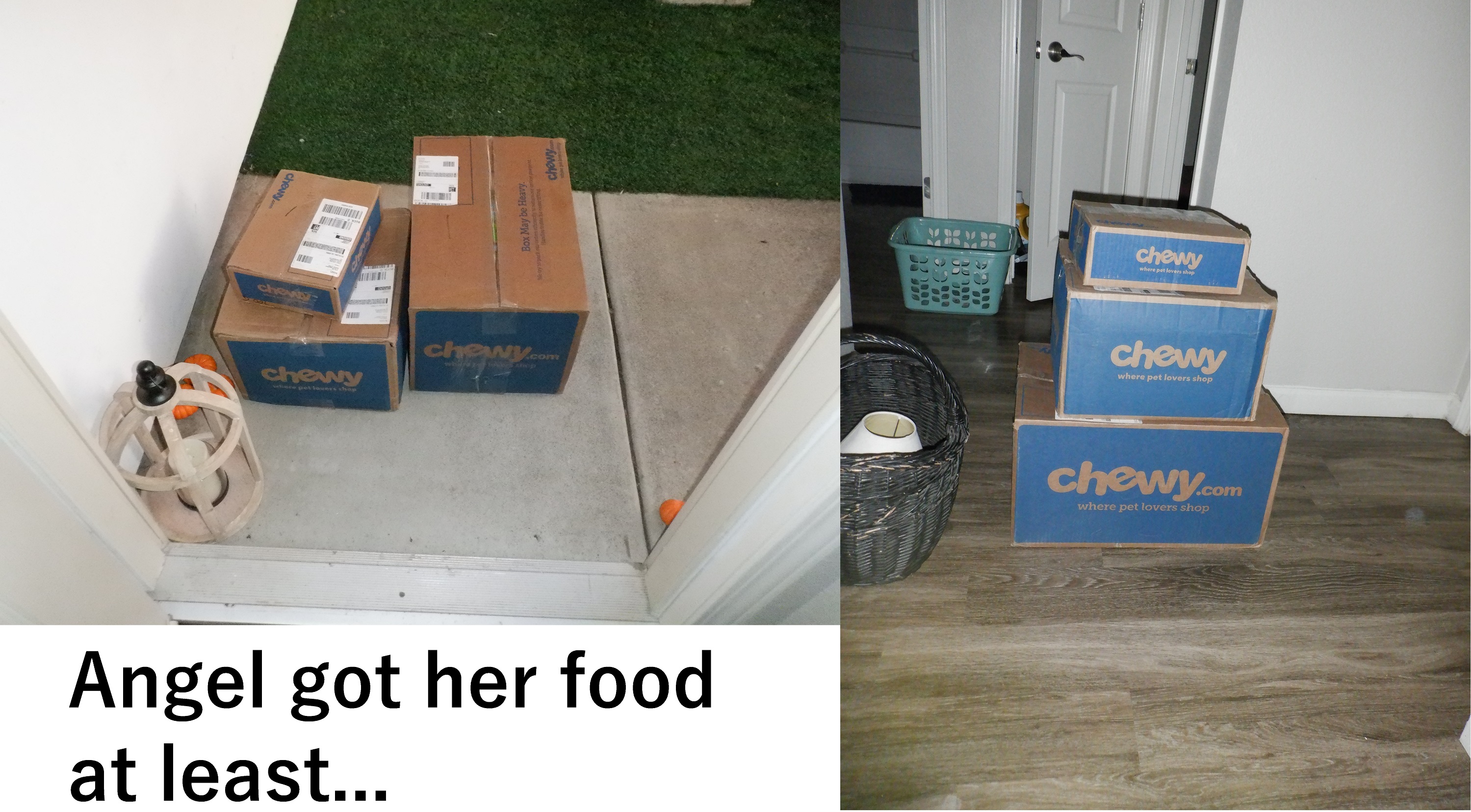 Chewy packages outside the door and in Chewy packages outside the door and in