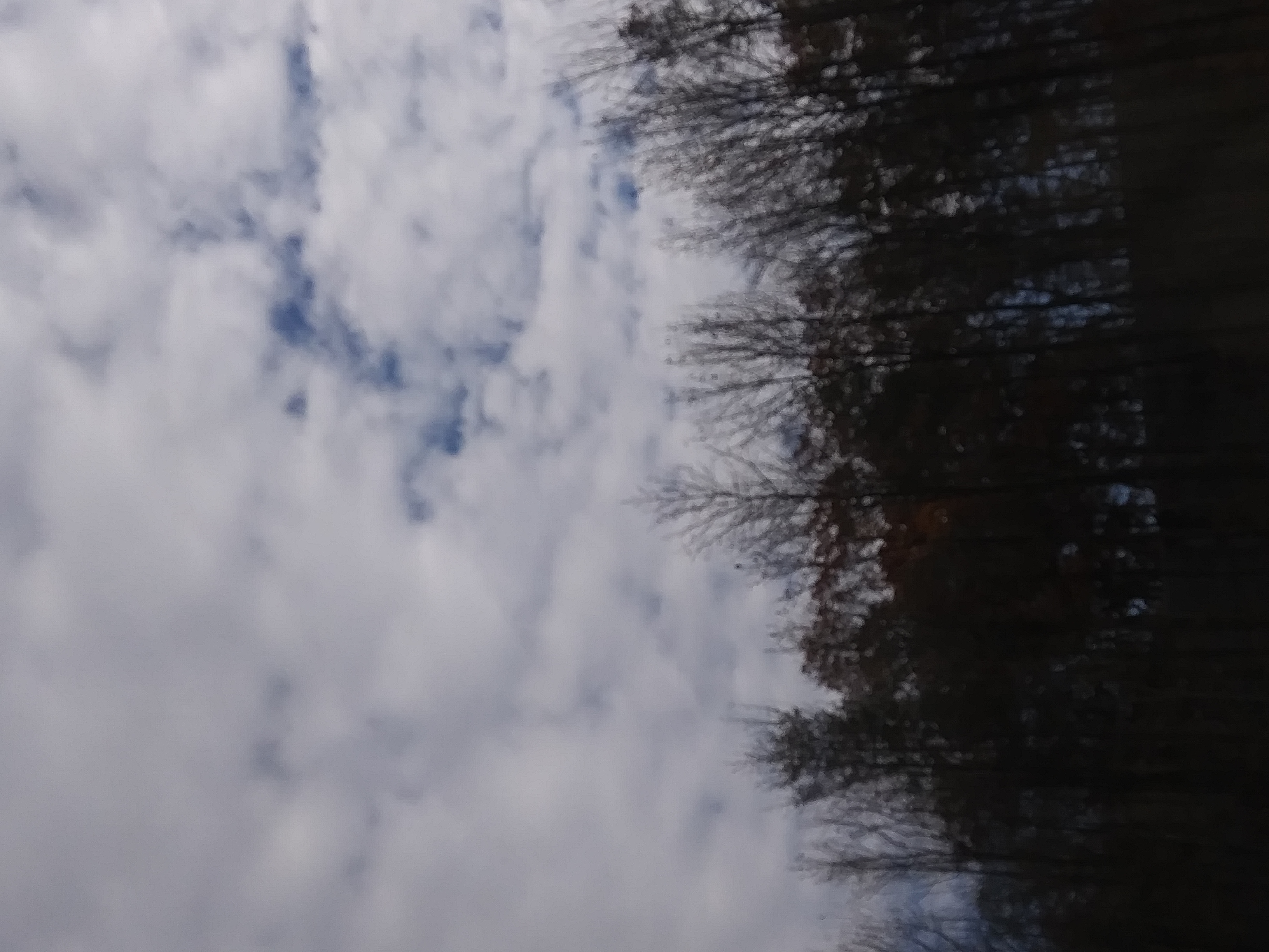 Photo Credit: If it loads, it's just a picture I took of the sky and some trees on the side of the road. Photo Credit: If it loads, it's just a picture I took of the sky and some trees on the side of the road.