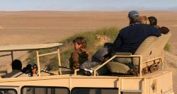 Two people on roof - Second photo of lion attack