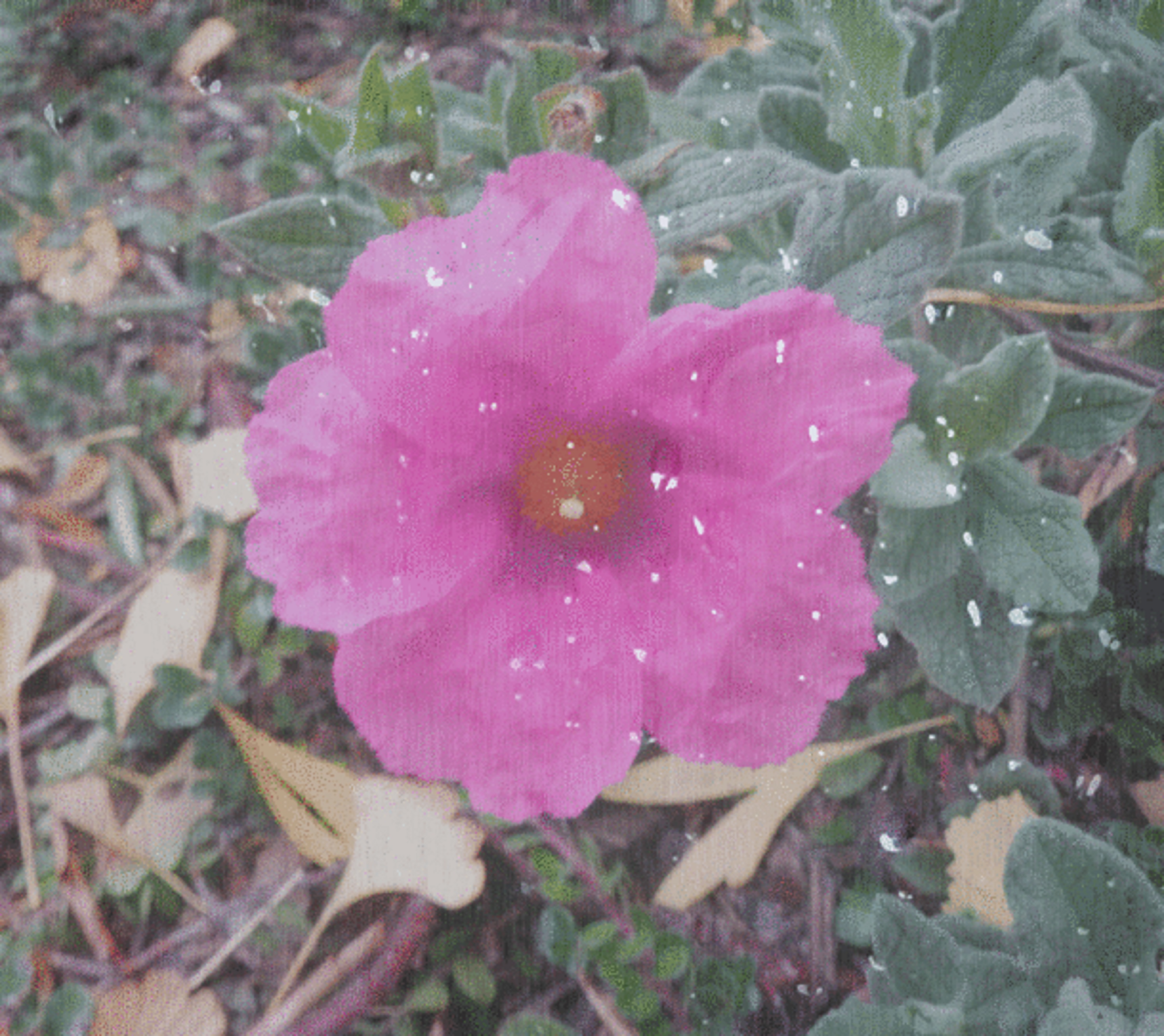 Photo taken by me with pouring rain and water droplet effects
