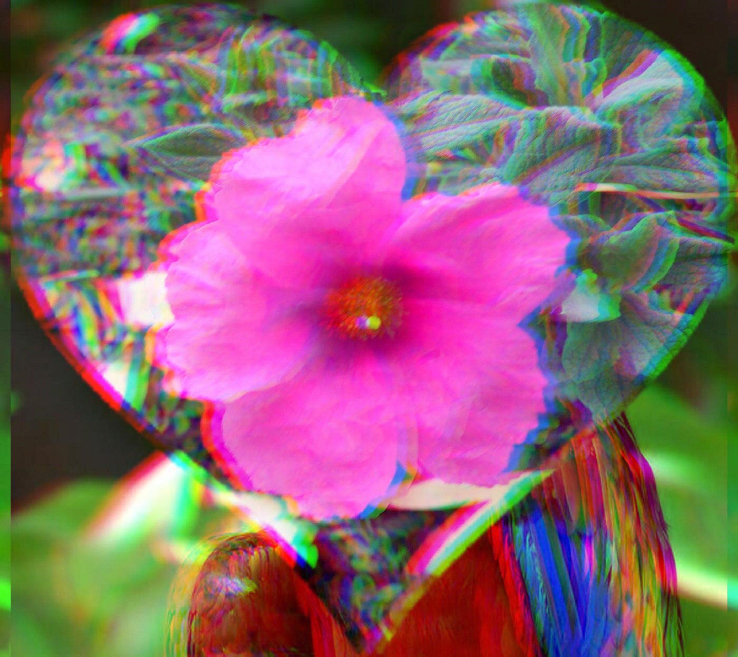 Photo taken by me with masking and color glitch effects on LunaPic.com Photo taken by me with masking and color glitch effects on LunaPic.com