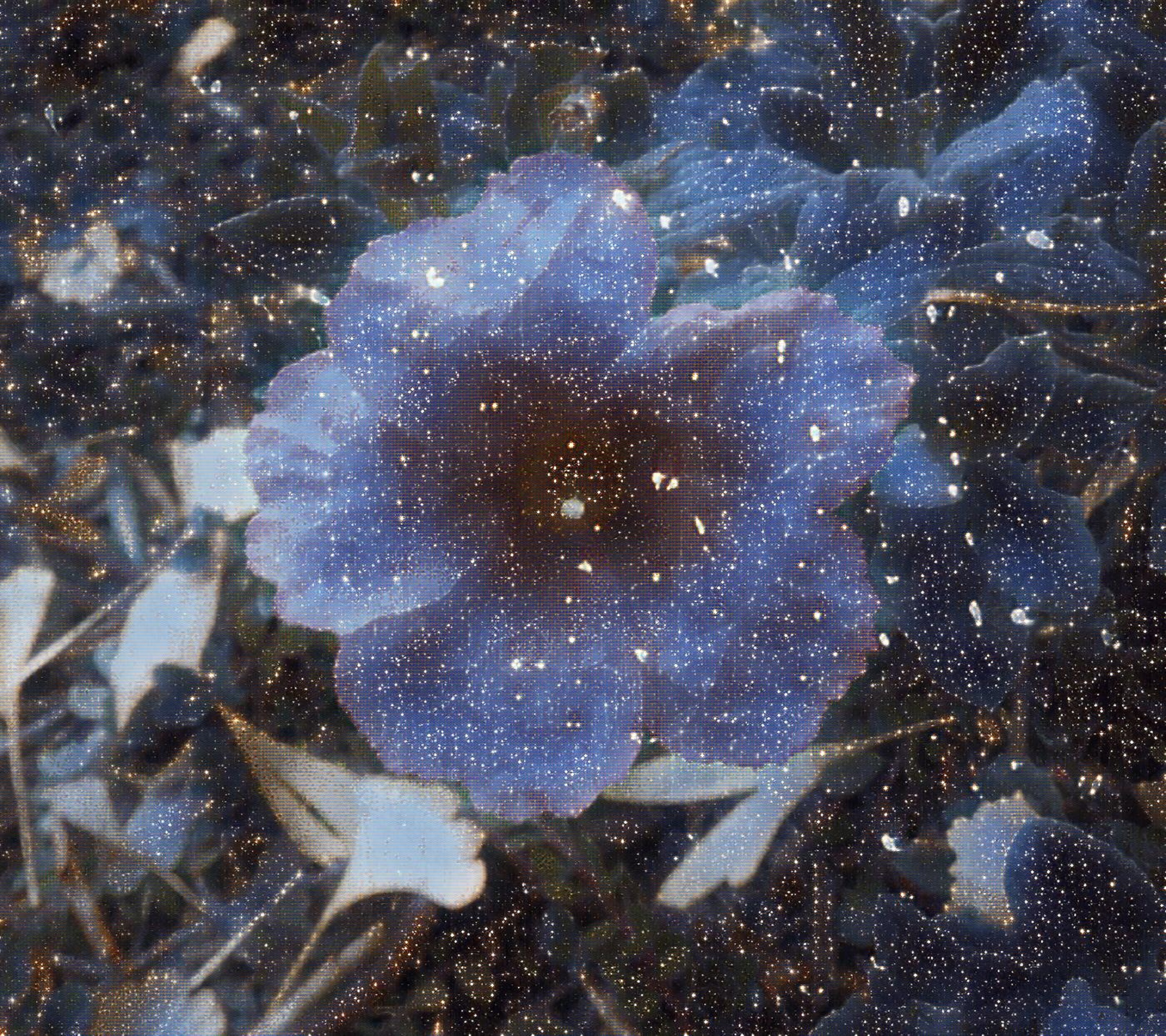 Photo taken by me with pouring rain, water droplet and space effects on LunaPic.com Photo taken by me with pouring rain, water droplet and space effects on LunaPic.com