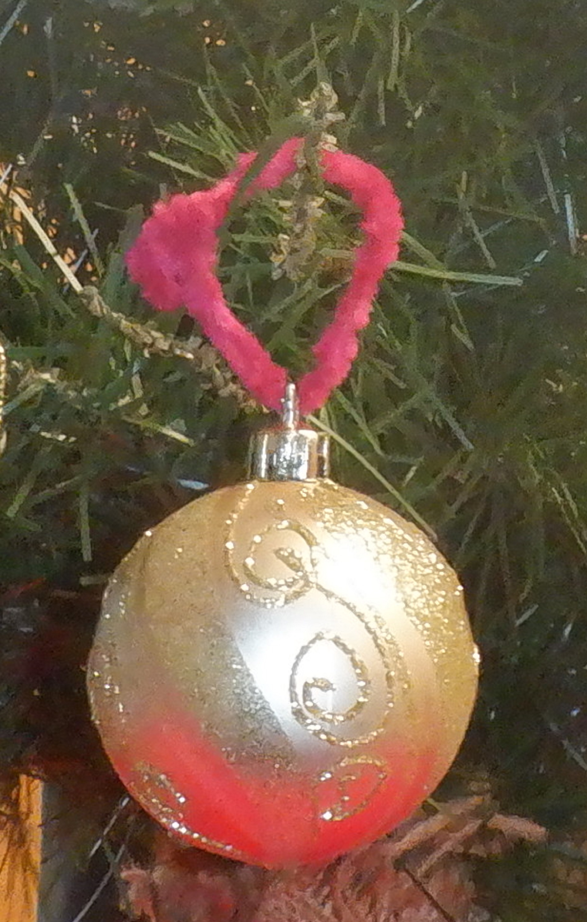 Photo I took of the tree at the preschool cropped Photo I took of the tree at the preschool cropped