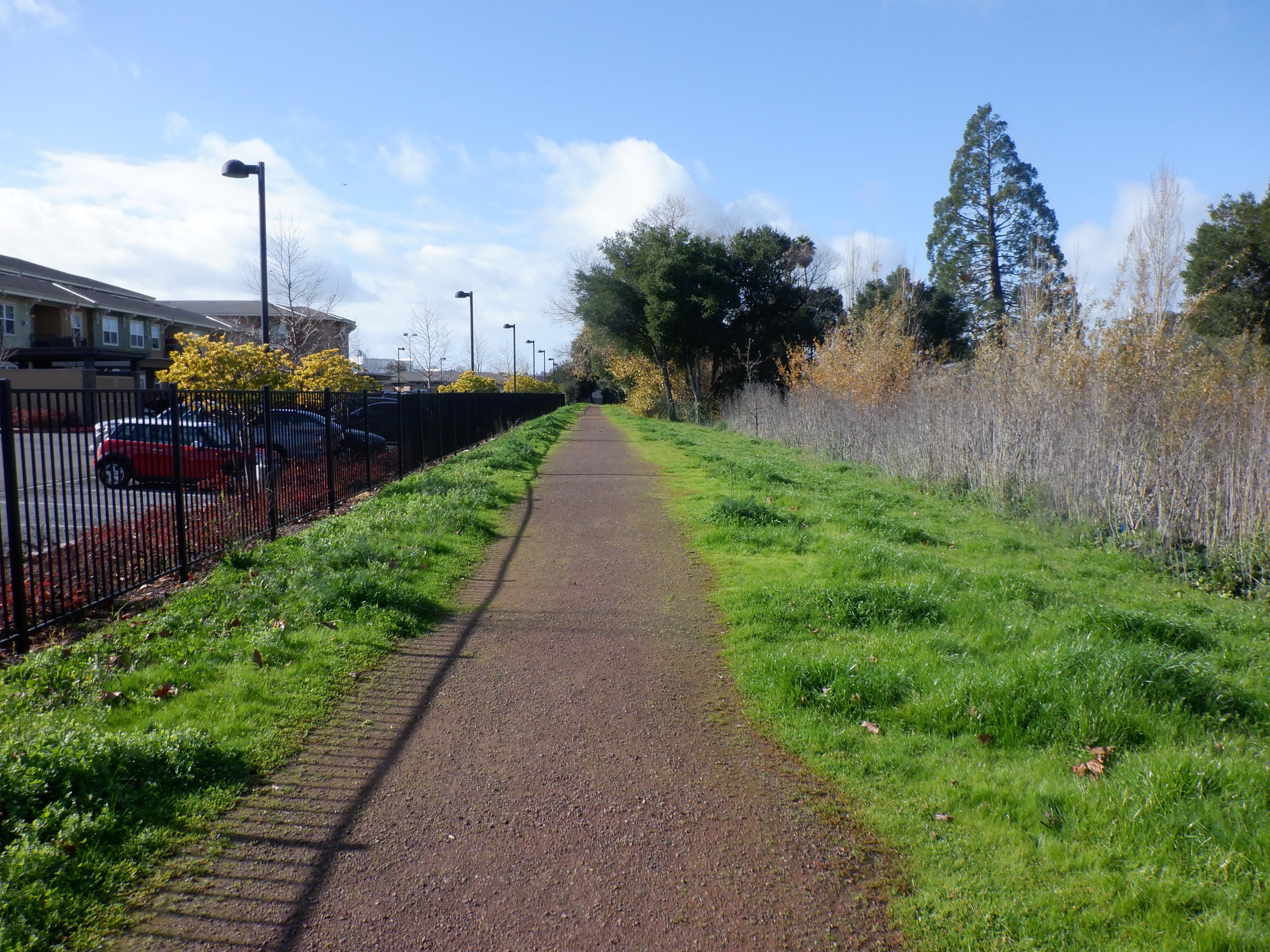 Photo I took at the beginning of the other end of the walking path Photo I took at the beginning of the other end of the walking path