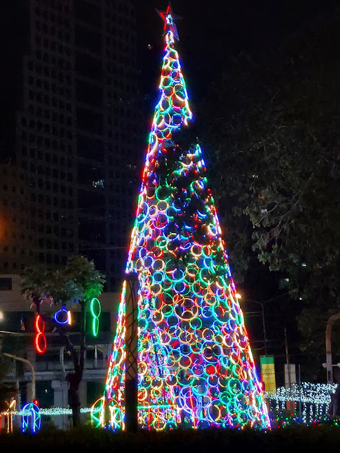 Photo is mine. One of the Christmas Tree snaps that I took to try and spread the holiday cheer.