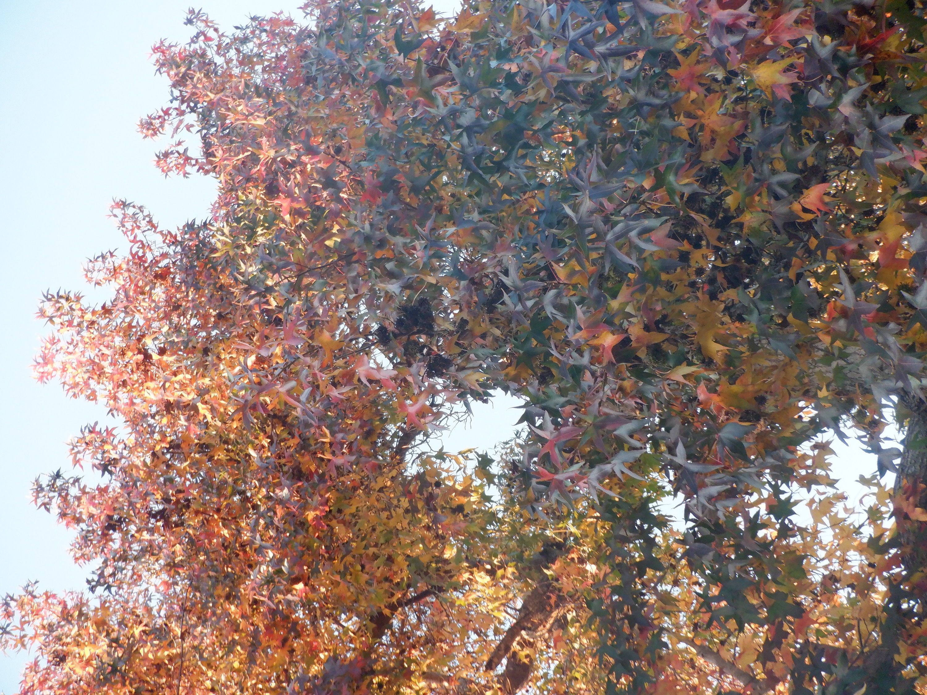 Photo taken by me Photo taken by me