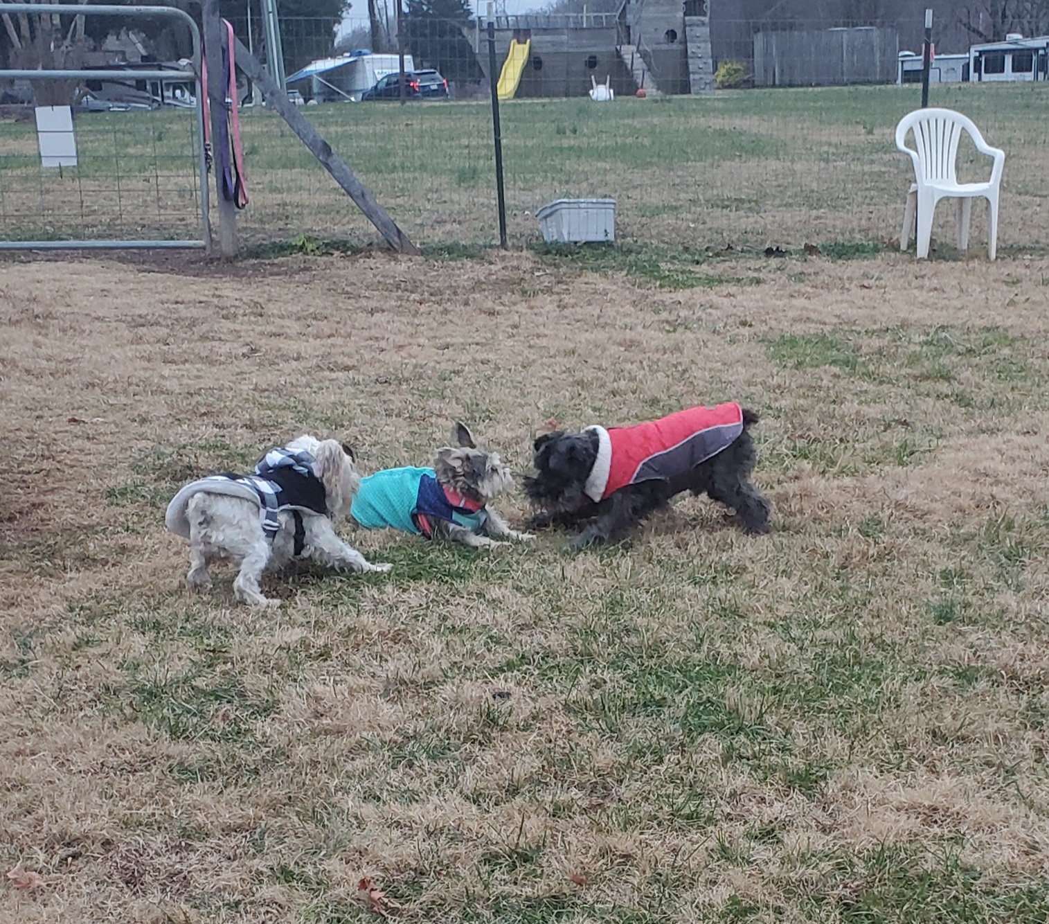 gapping! 3 littles playing!