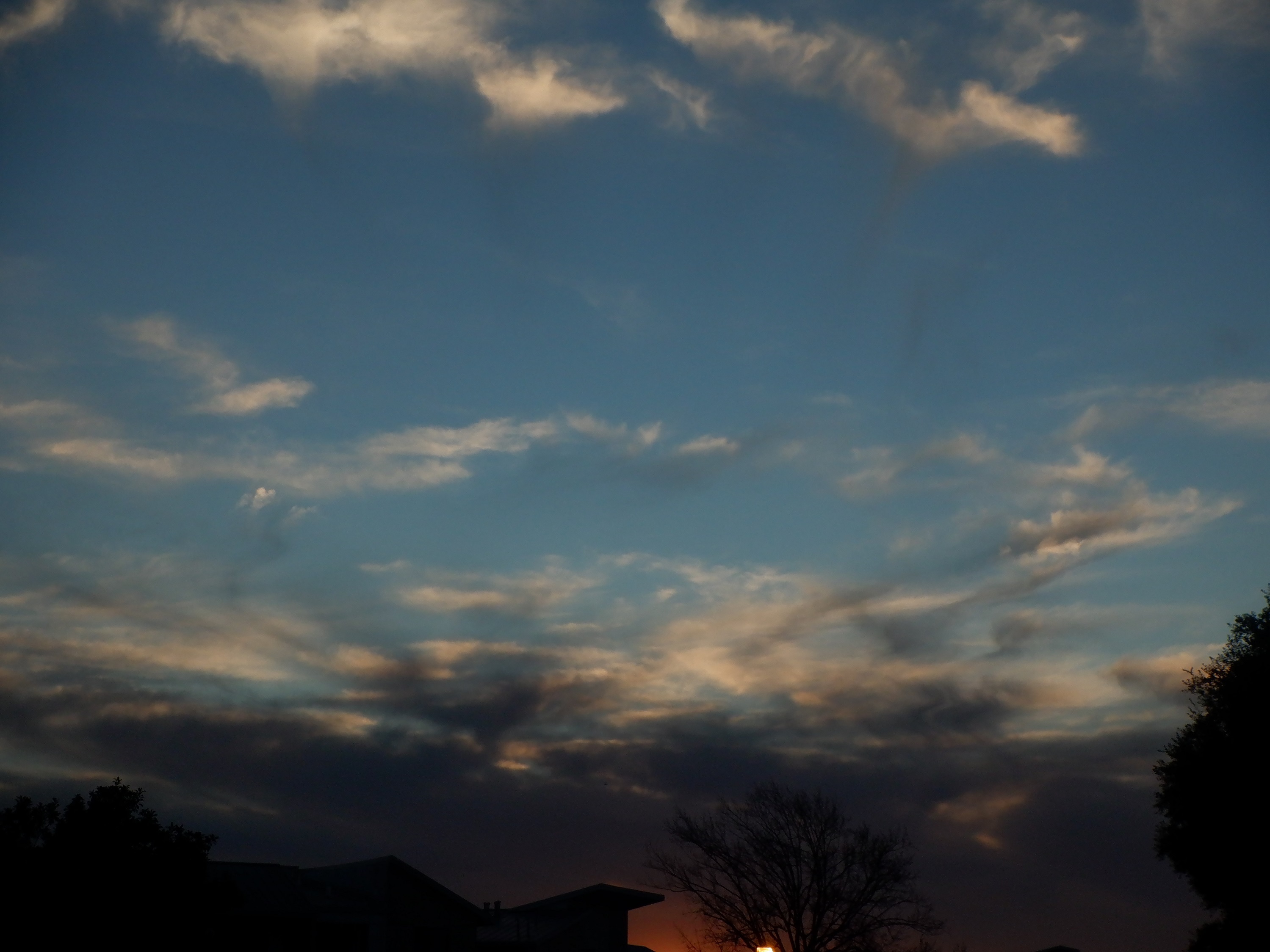 Photo taken by me 1-28-22