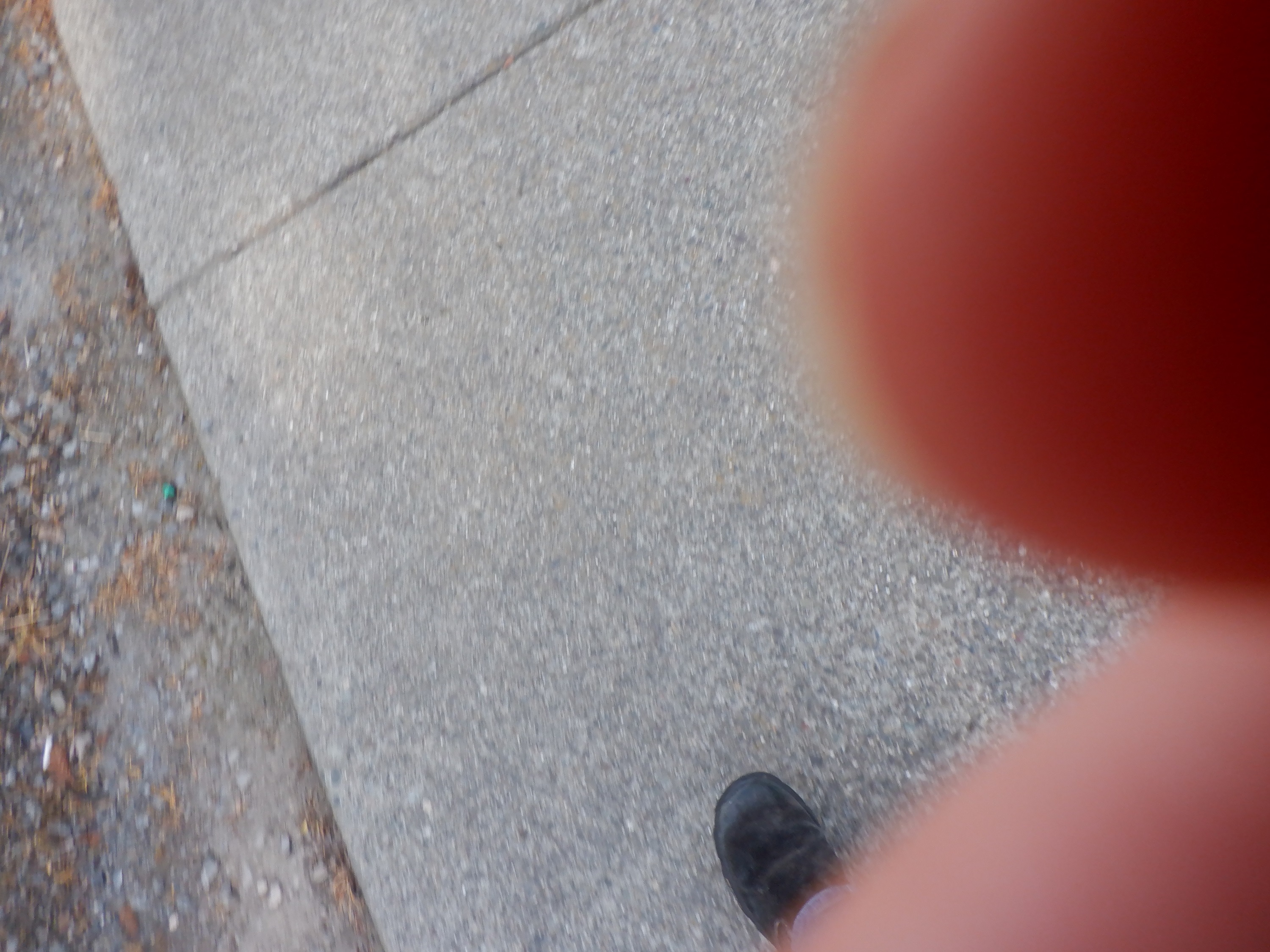 Photo I took by mistake Photo I took by mistake