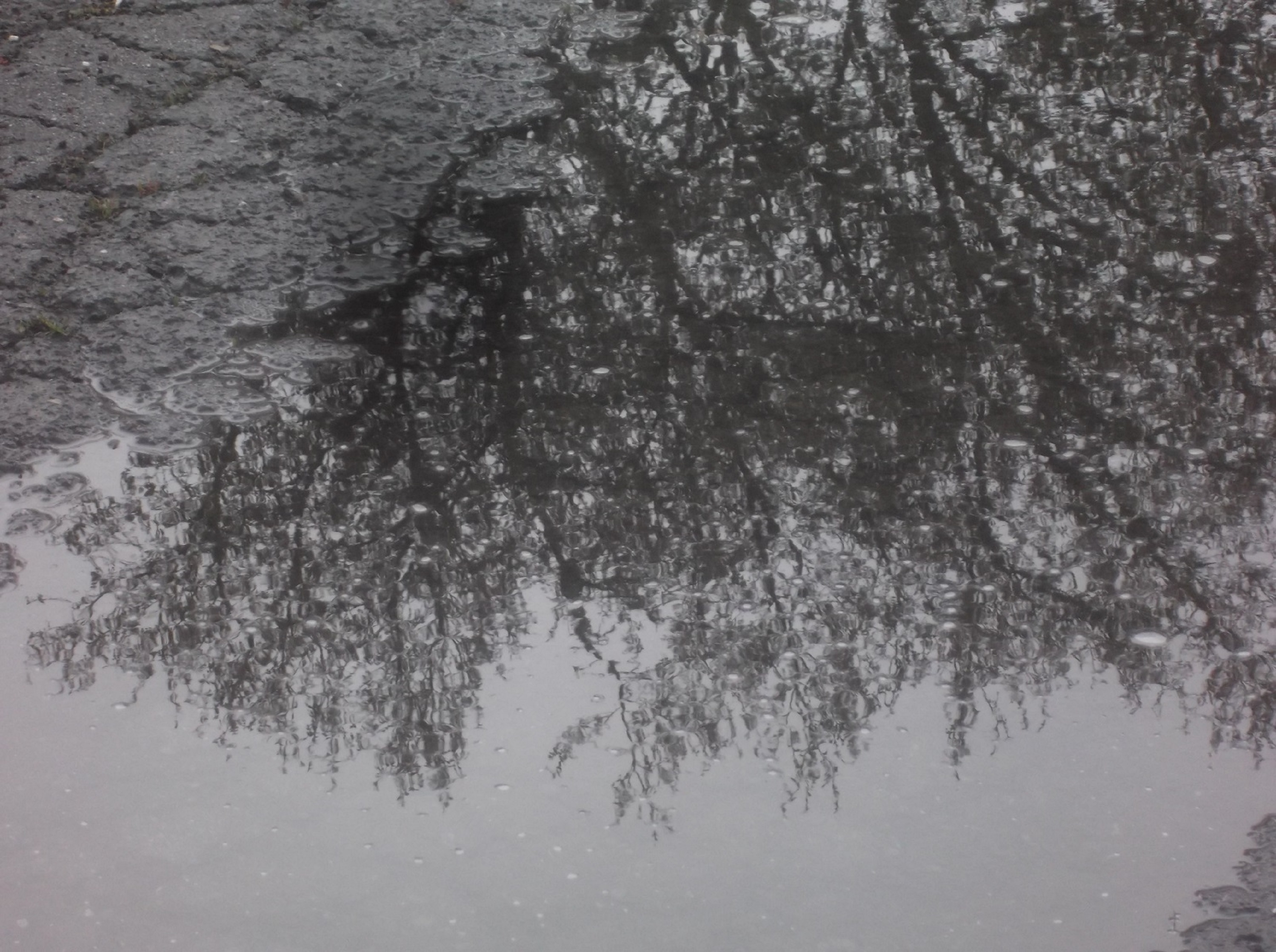 Photo taken by me