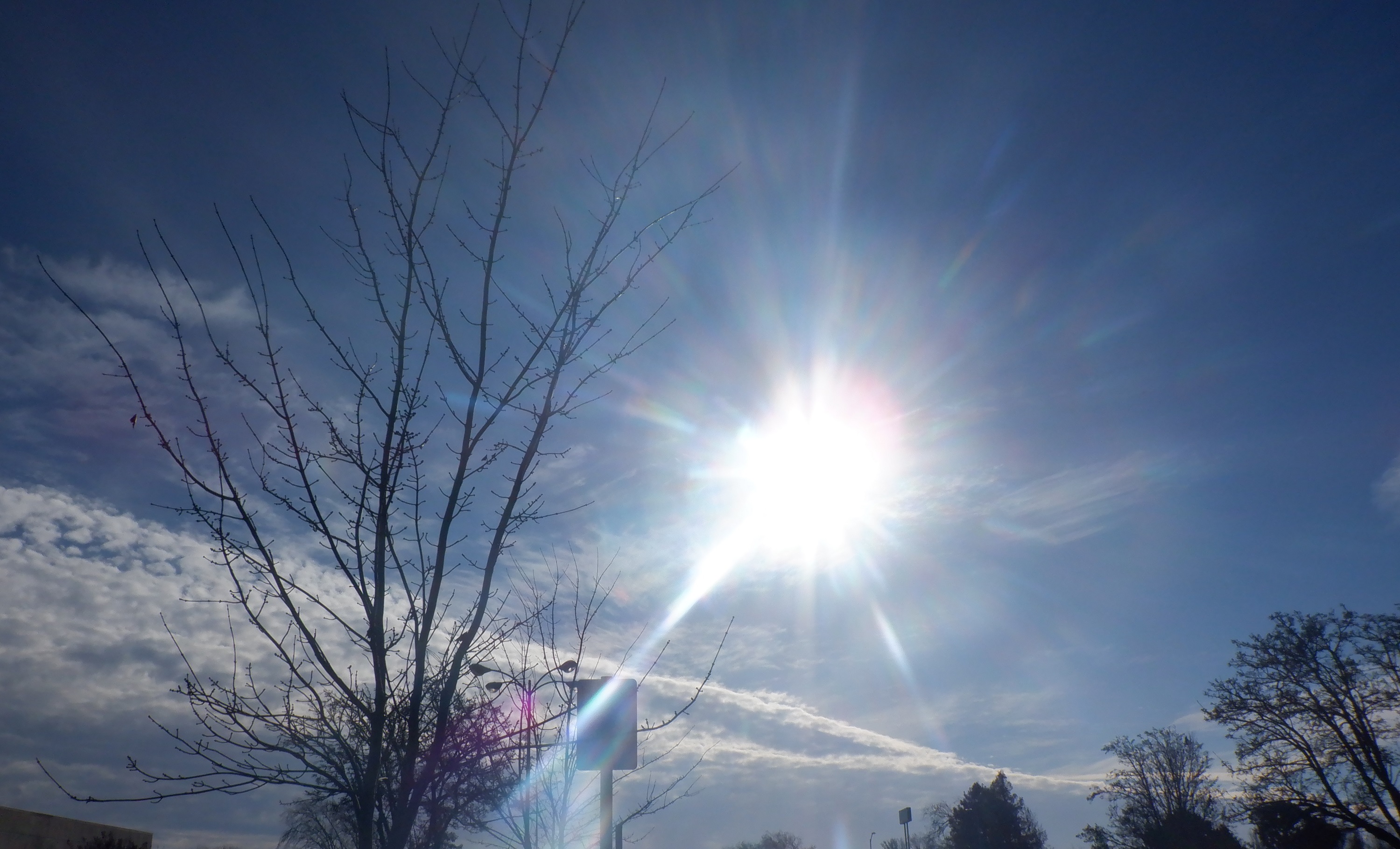 Photo byme 1-31-22 Photo byme 1-31-22