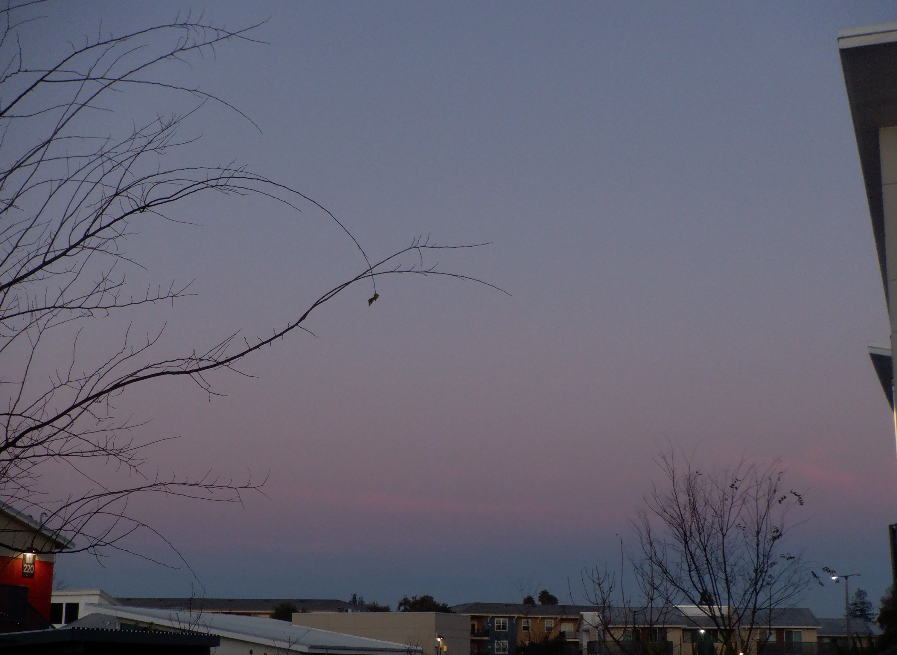 Photo taken by me 7:02 am 2-4-22 Photo taken by me 7:02 am 2-4-22
