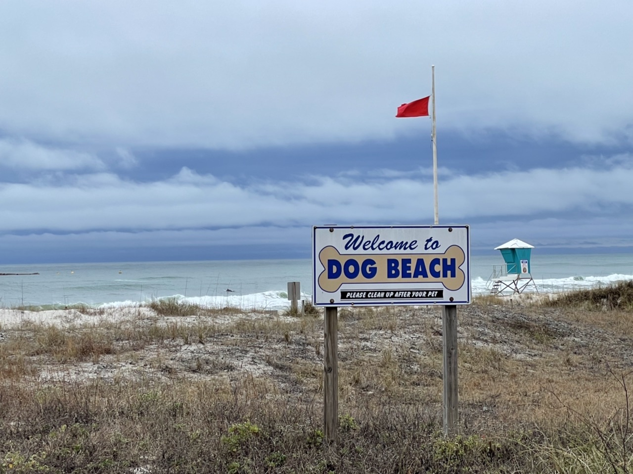 The dog-friendly area of Panama City Beach. Photo taken by and the property of FourWalls. The dog-friendly area of Panama City Beach. Photo taken by and the property of FourWalls.