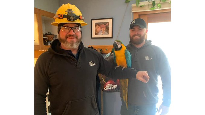 Chris Gouger and Nick Bills with a macaw that they rescued from a tree Chris Gouger and Nick Bills with a macaw that they rescued from a tree