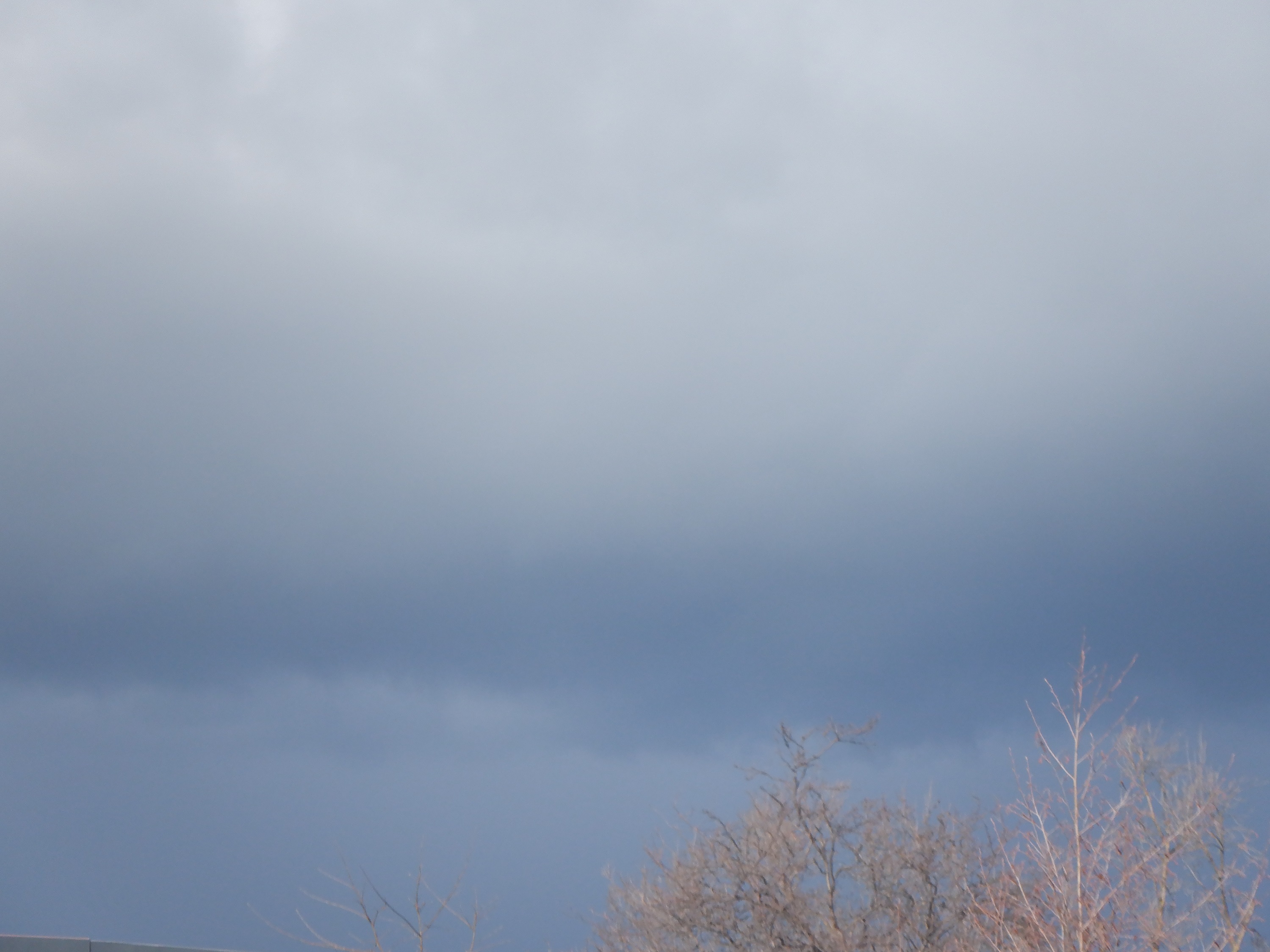 Photo taken by me 2-22-22 3:45 pm