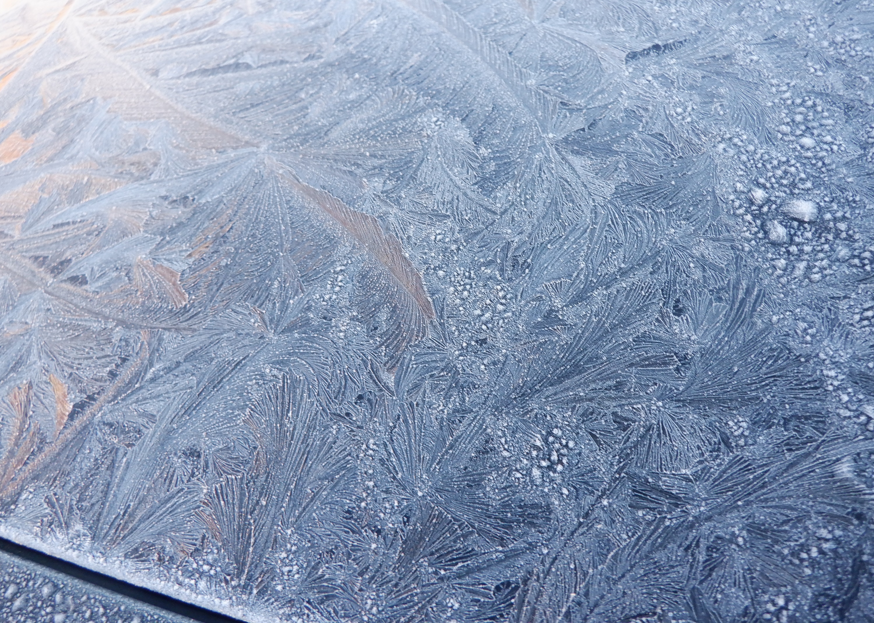 One of the photos I took of someone's car window. One of the photos I took of someone's car window.
