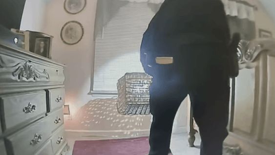 A Clinton Township police officer getting a bat out of a bedroom two weekends ago A Clinton Township police officer getting a bat out of a bedroom two weekends ago