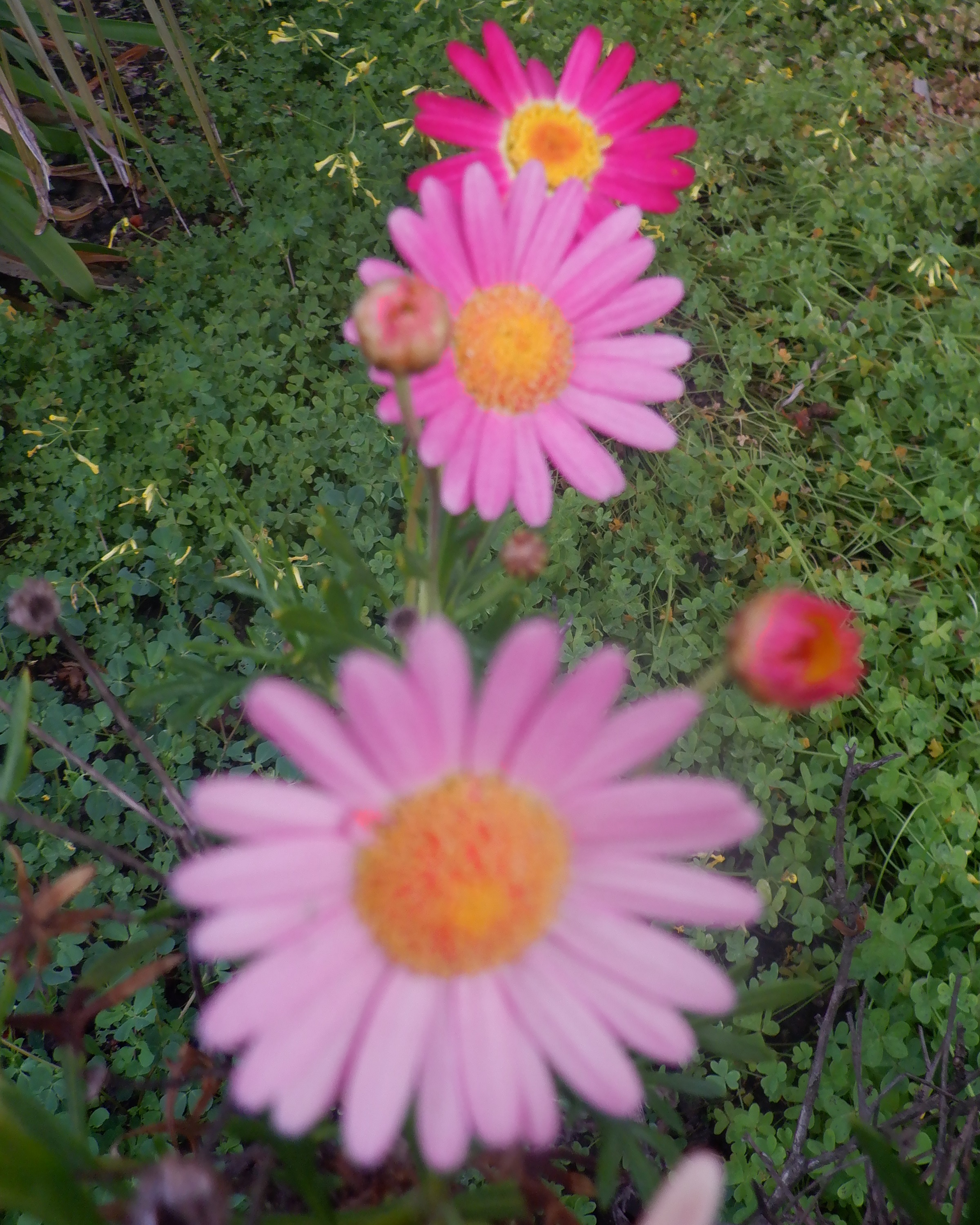 Photo taken by me Photo taken by me