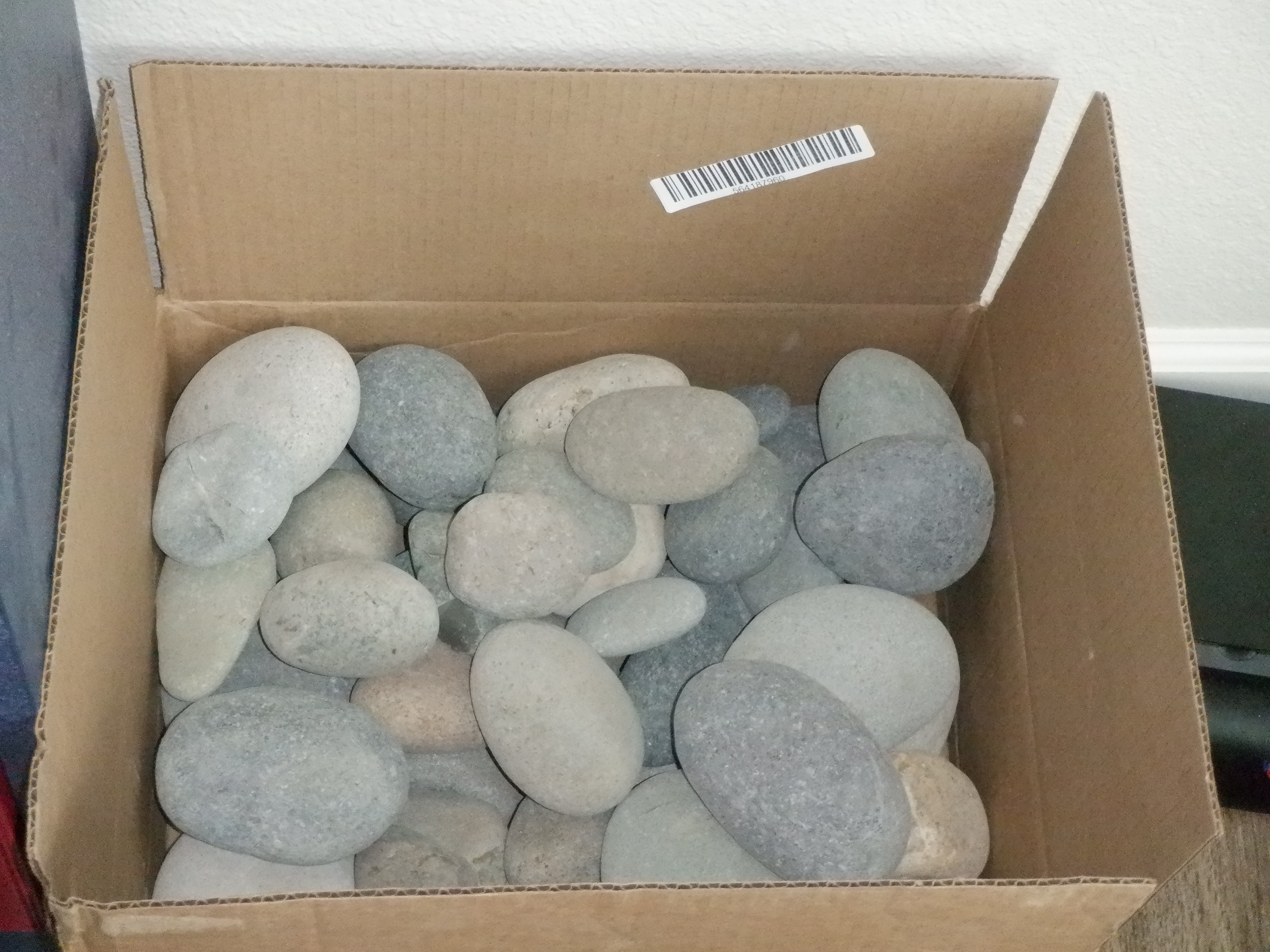 Photo I took of rocks in a box