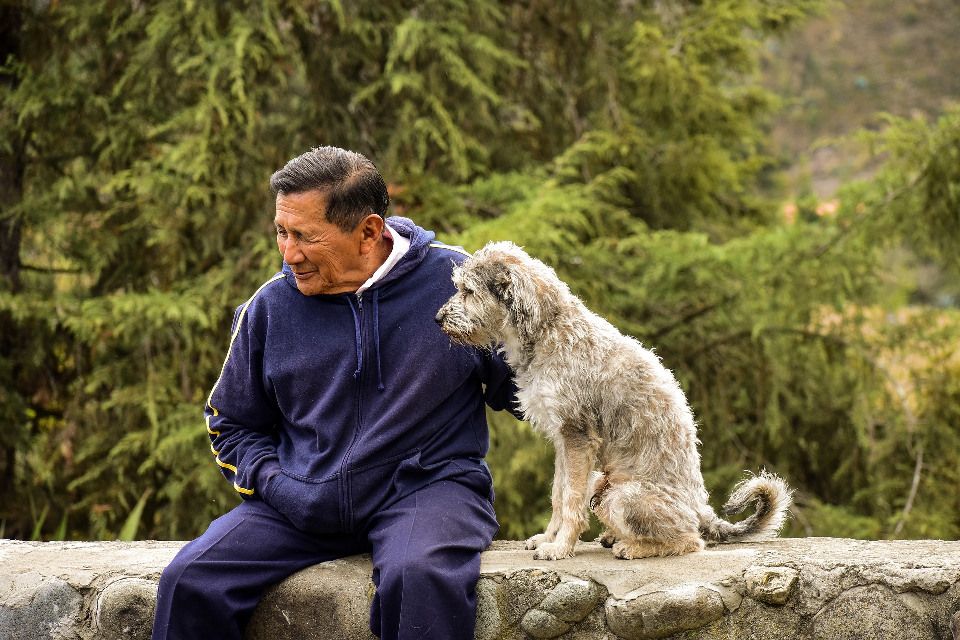 The Zen master told John to be the dog in himself, instead of dogging himself with himself to be himself The Zen master told John to be the dog in himself, instead of dogging himself with himself to be himself