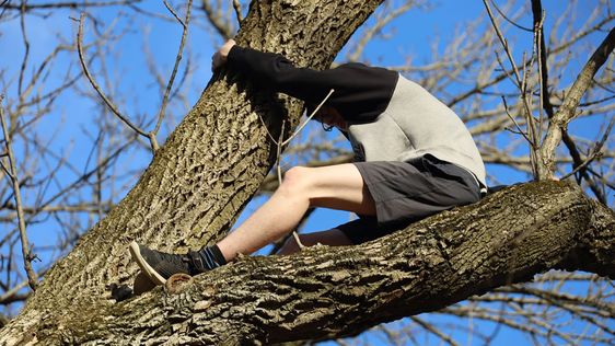 Indianapolis teen stuck on a tree branch trying rescue a cat. Indianapolis teen stuck on a tree branch trying rescue a cat.
