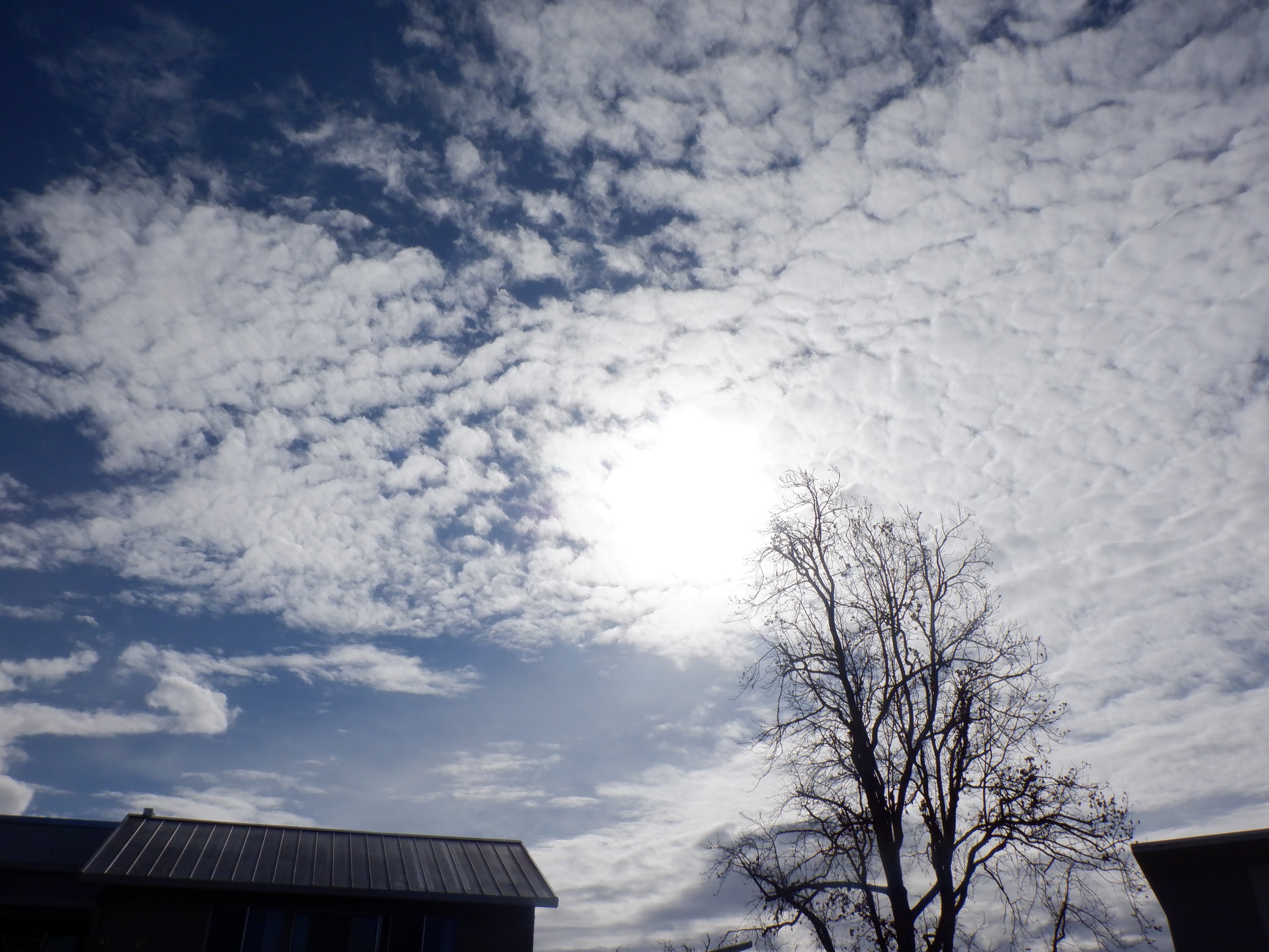 Photo taken by me 3-12-22
