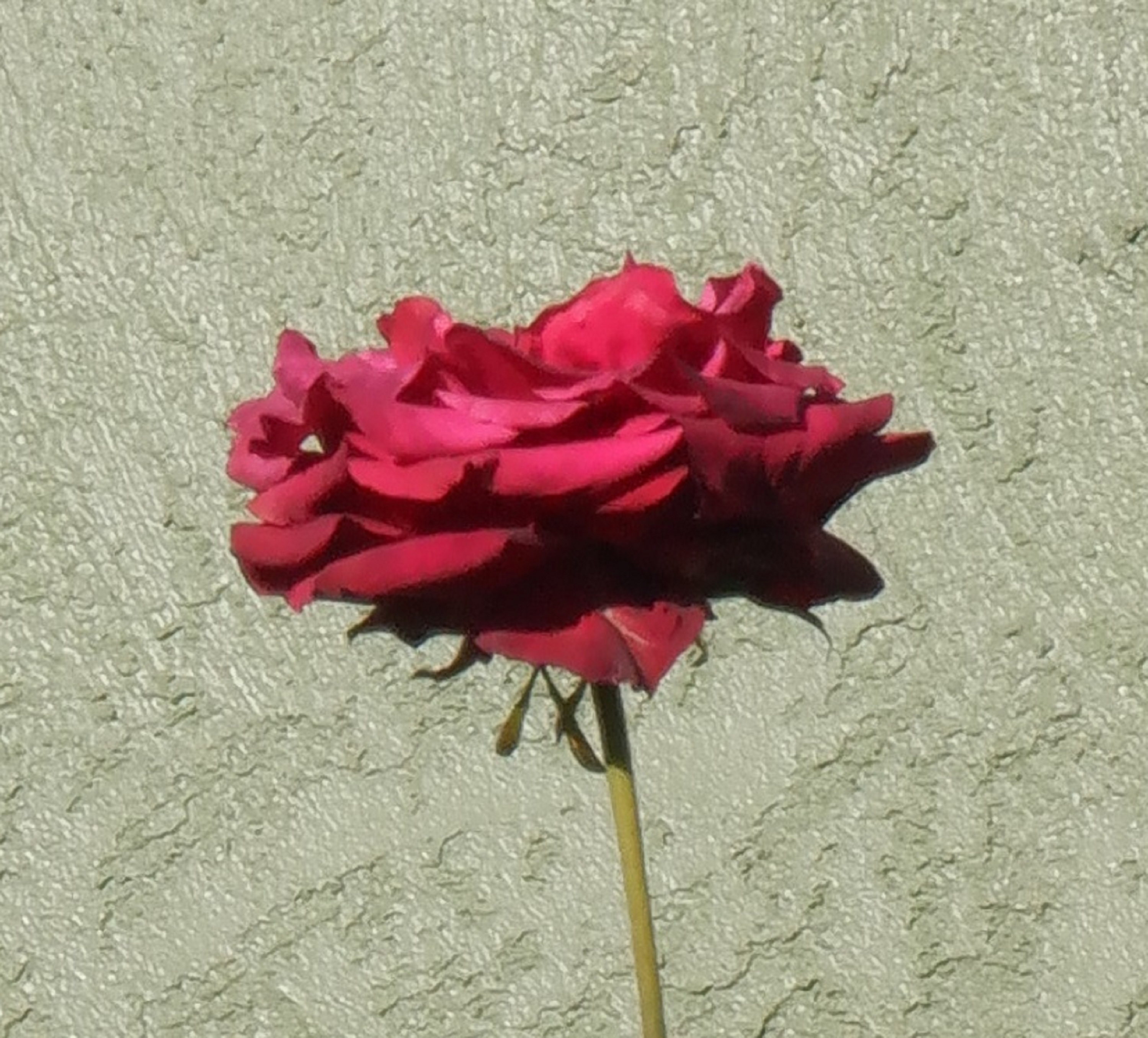 Photo taken by me 3-11-22