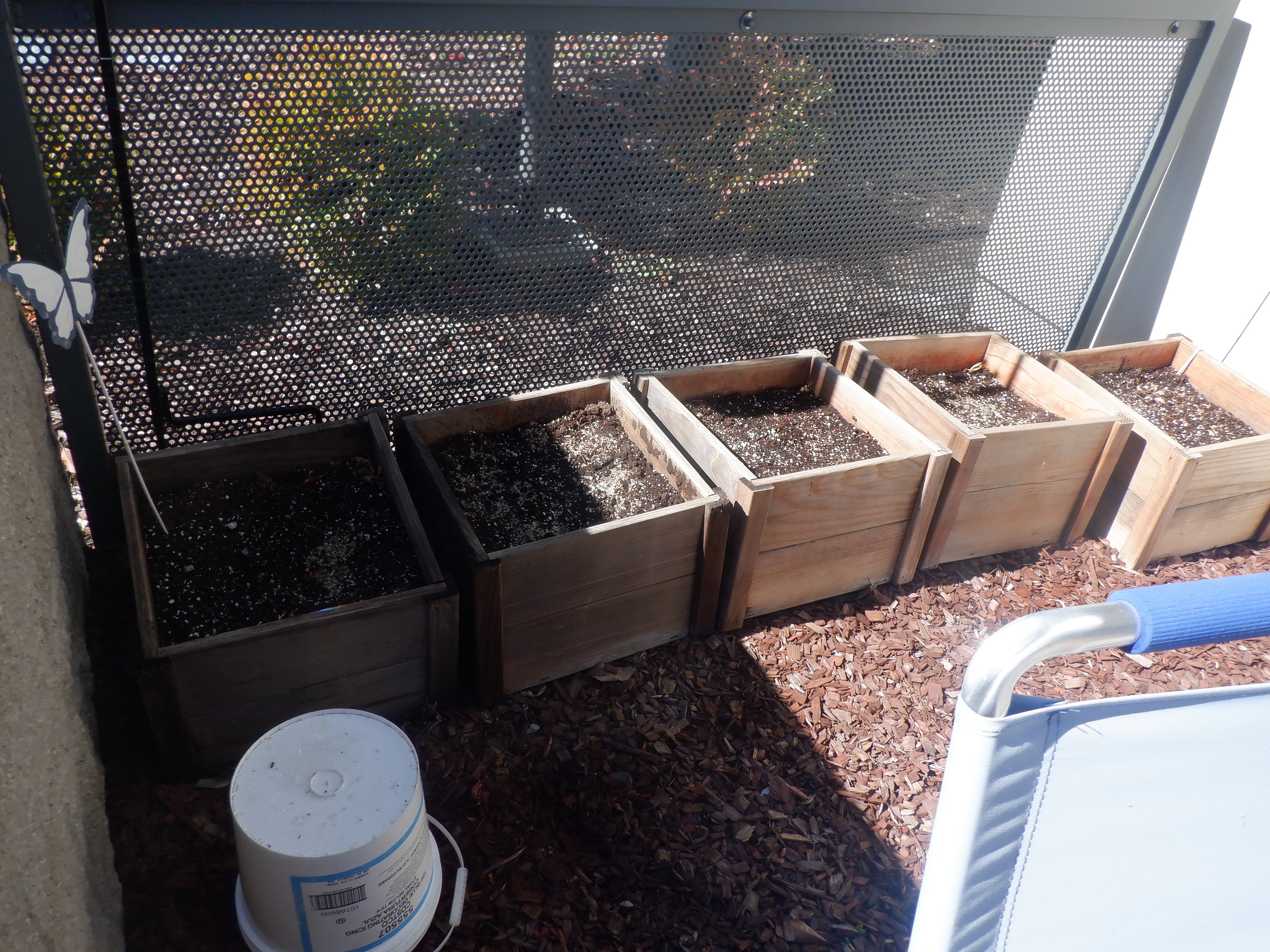 Photo I took of the boxes I planted in. Photo I took of the boxes I planted in.