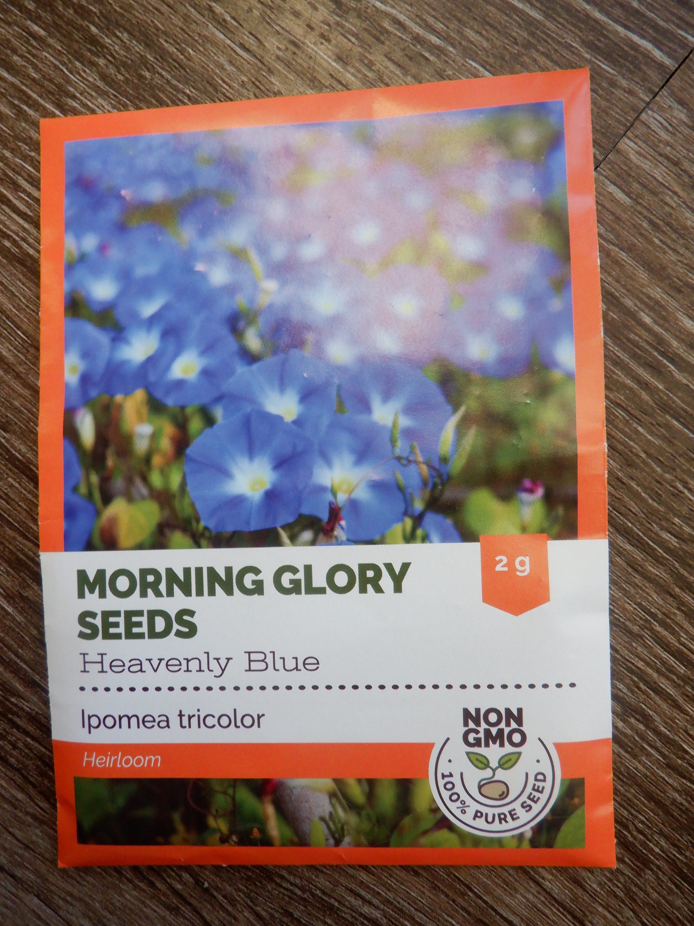 Seeds I got in the mail today Seeds I got in the mail today