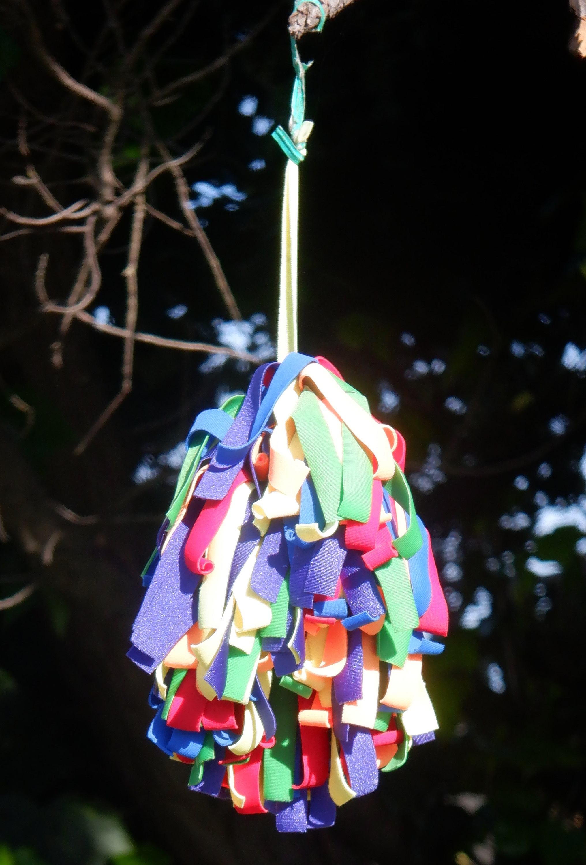 Colorful thing I saw hanging in a tree Colorful thing I saw hanging in a tree
