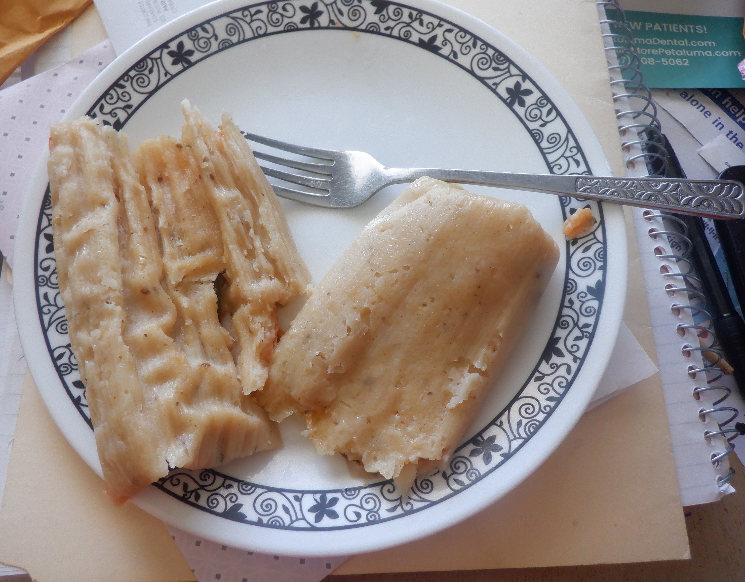 Photo I took of the tamales on my plate at lunch