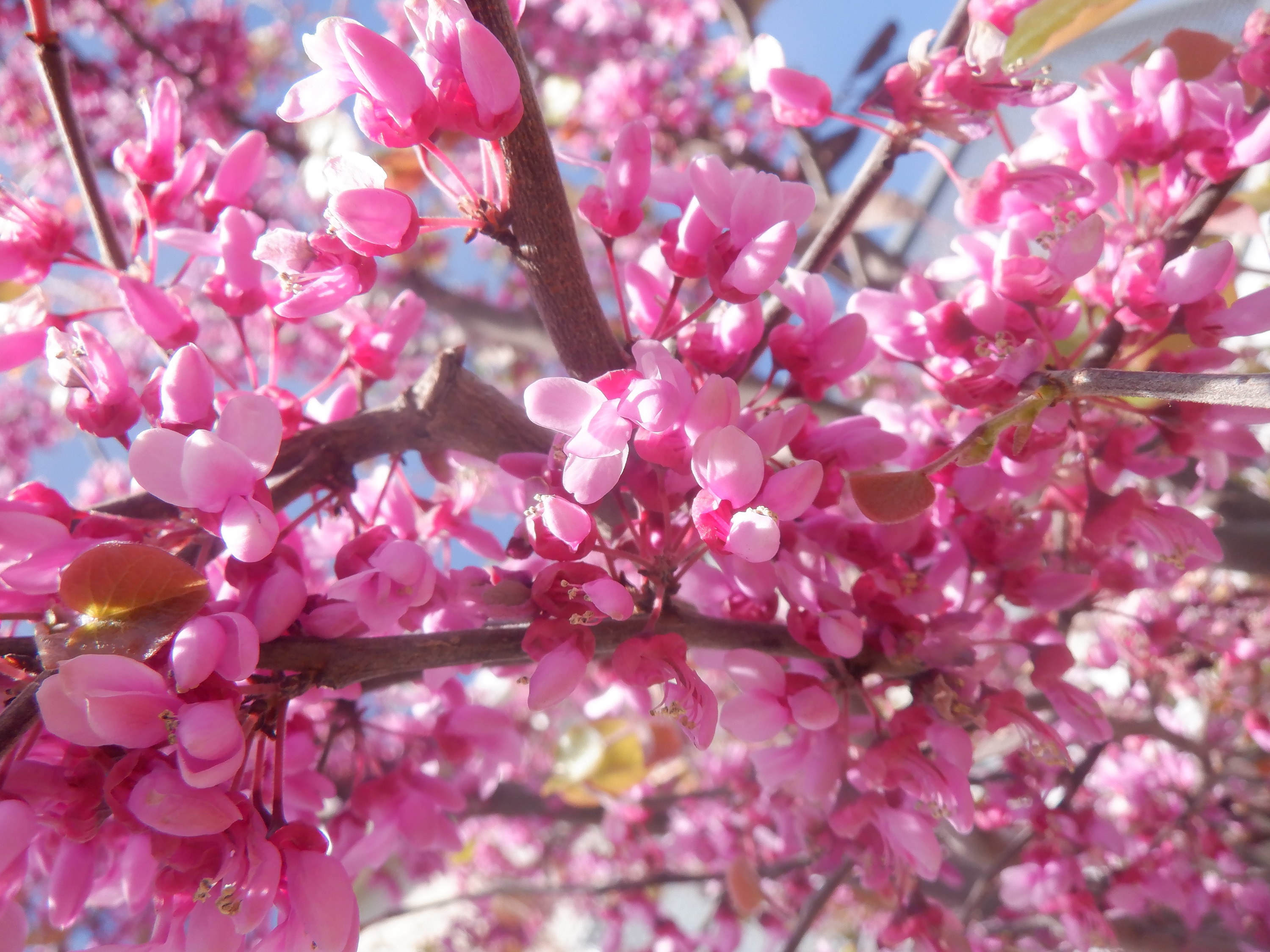 Photo taken by me