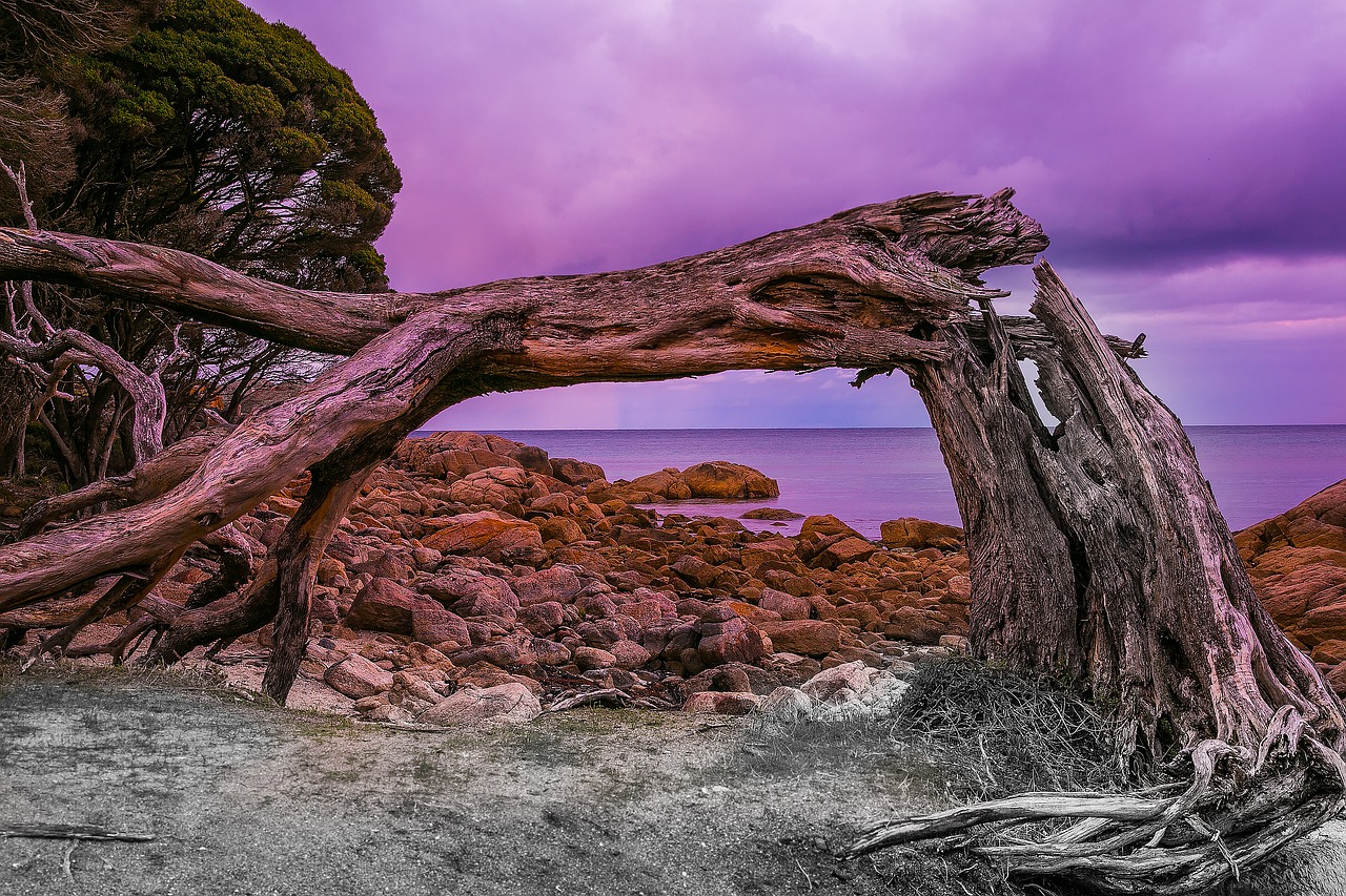 A fallen tree is not necessarily a fallen tree, unless we agree that it is so A fallen tree is not necessarily a fallen tree, unless we agree that it is so