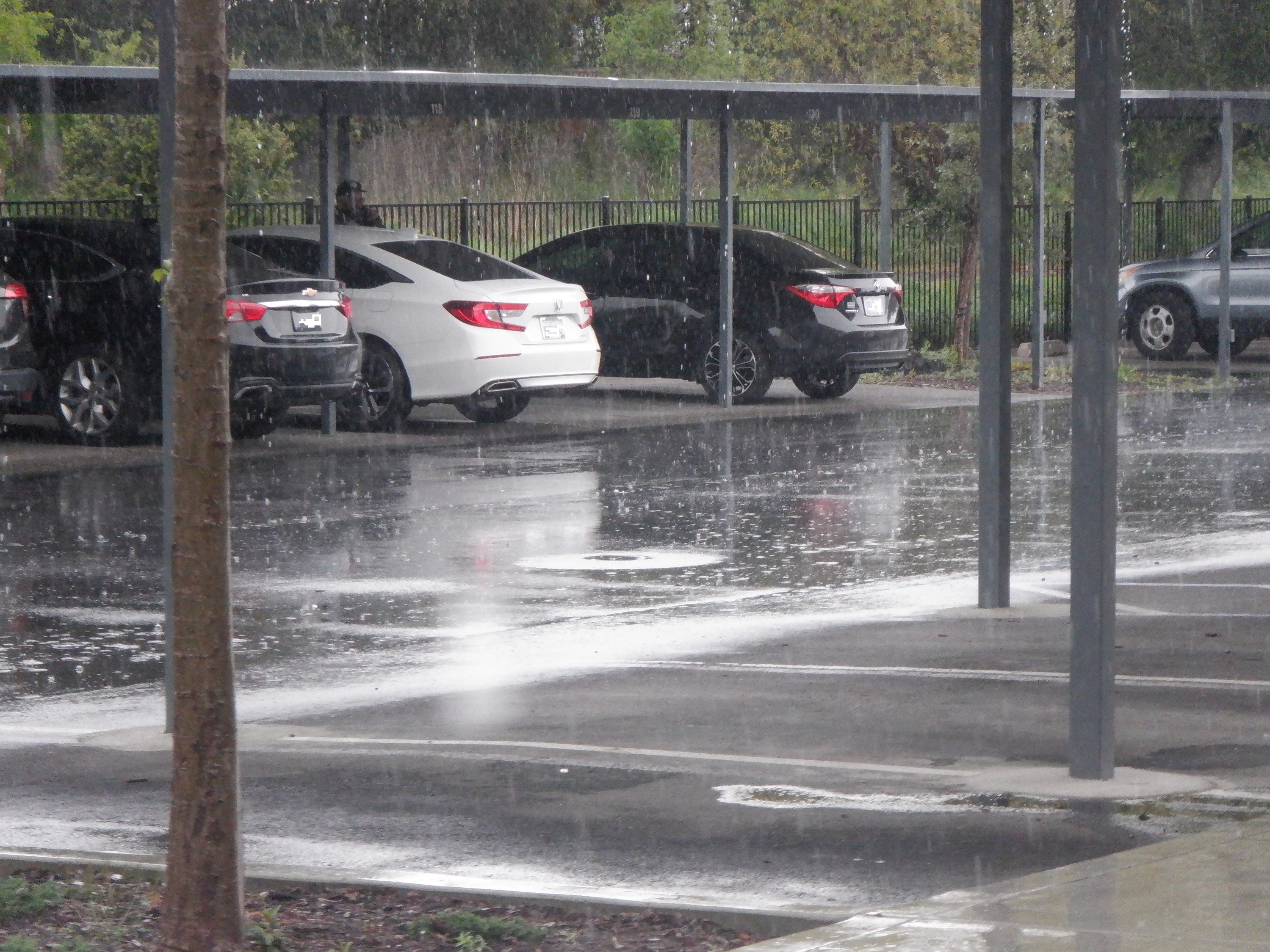 Rain photo walking Angel