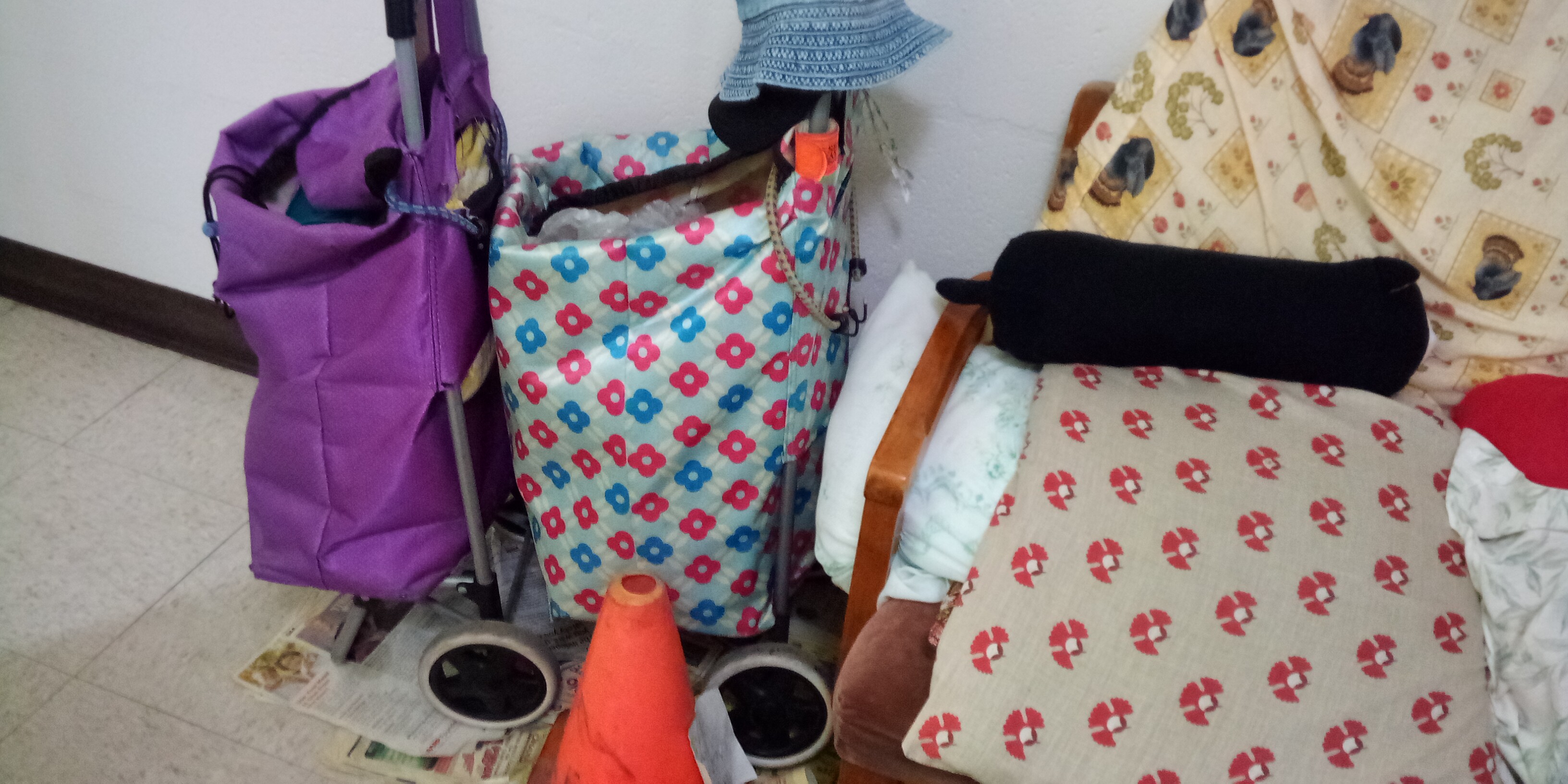 My shopping pull carts.
