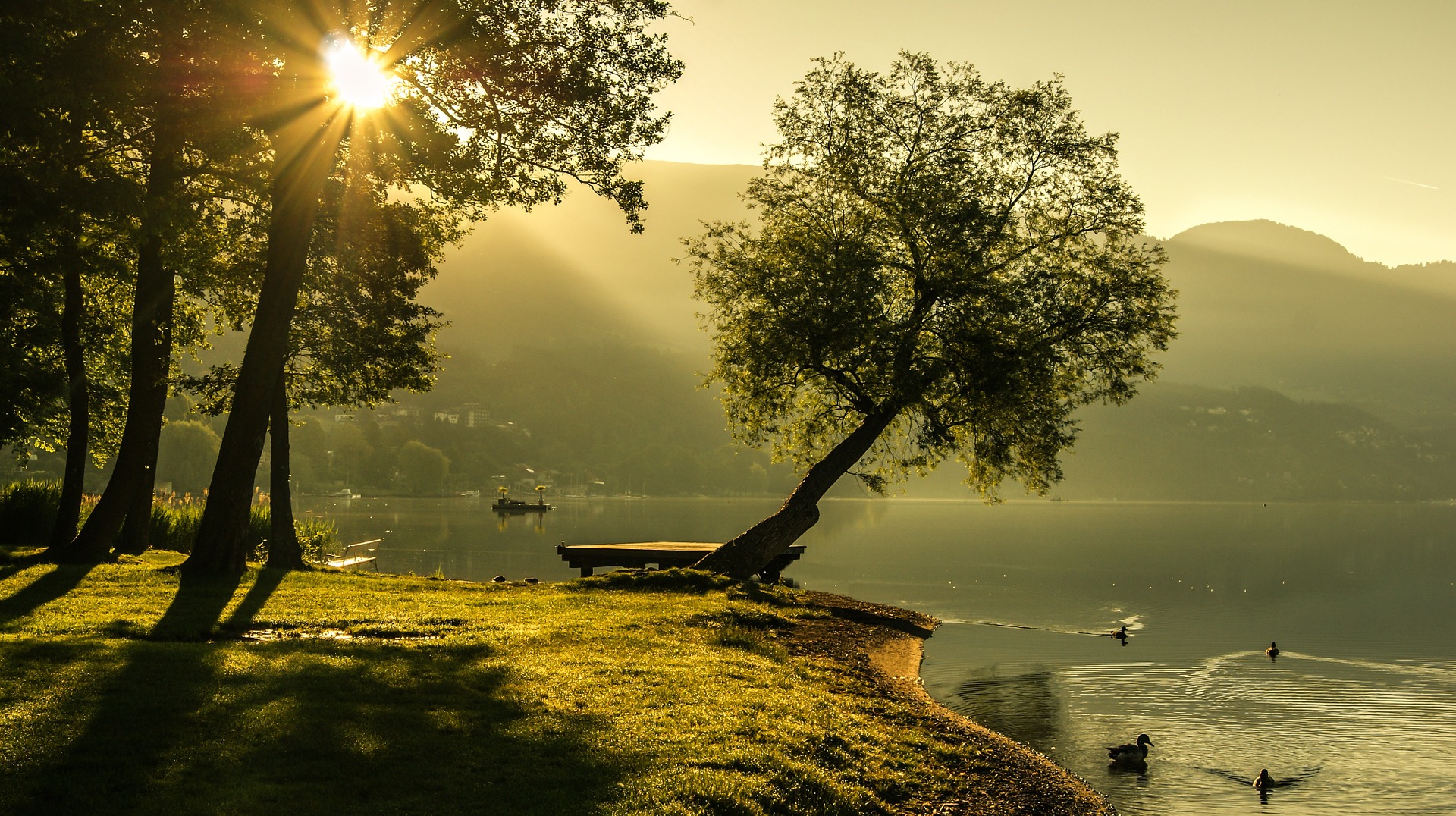 We only think that we can live alone We only think that we can live alone