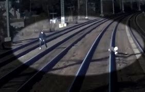 A signal worker in New York rescues a dog running on the railroad tracks A signal worker in New York rescues a dog running on the railroad tracks