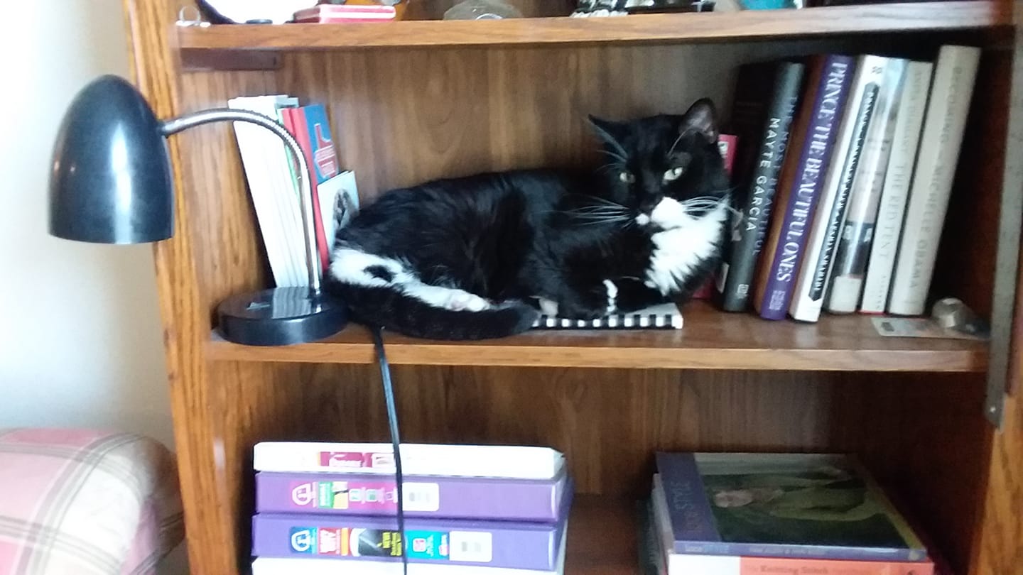 Buddy the bookend