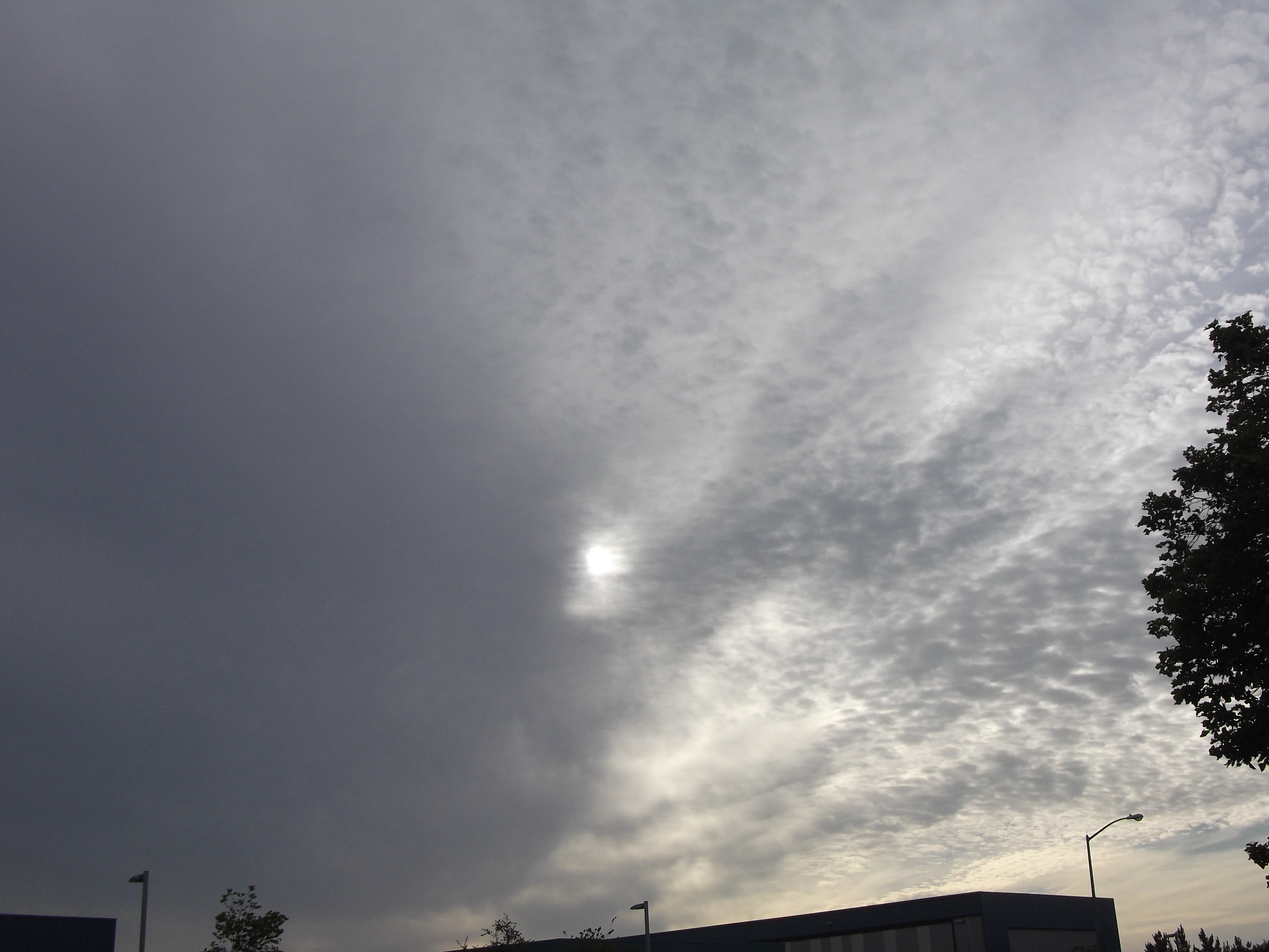 Photo taken by me May 2014
