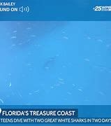 A view of the Atlantic Ocean off of the coast of Florida. A view of the Atlantic Ocean off of the coast of Florida.