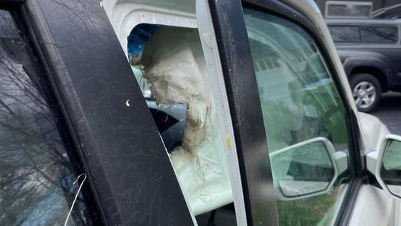 Black bear breaks out of an auto by breaking the windshield in North Carolina Black bear breaks out of an auto by breaking the windshield in North Carolina