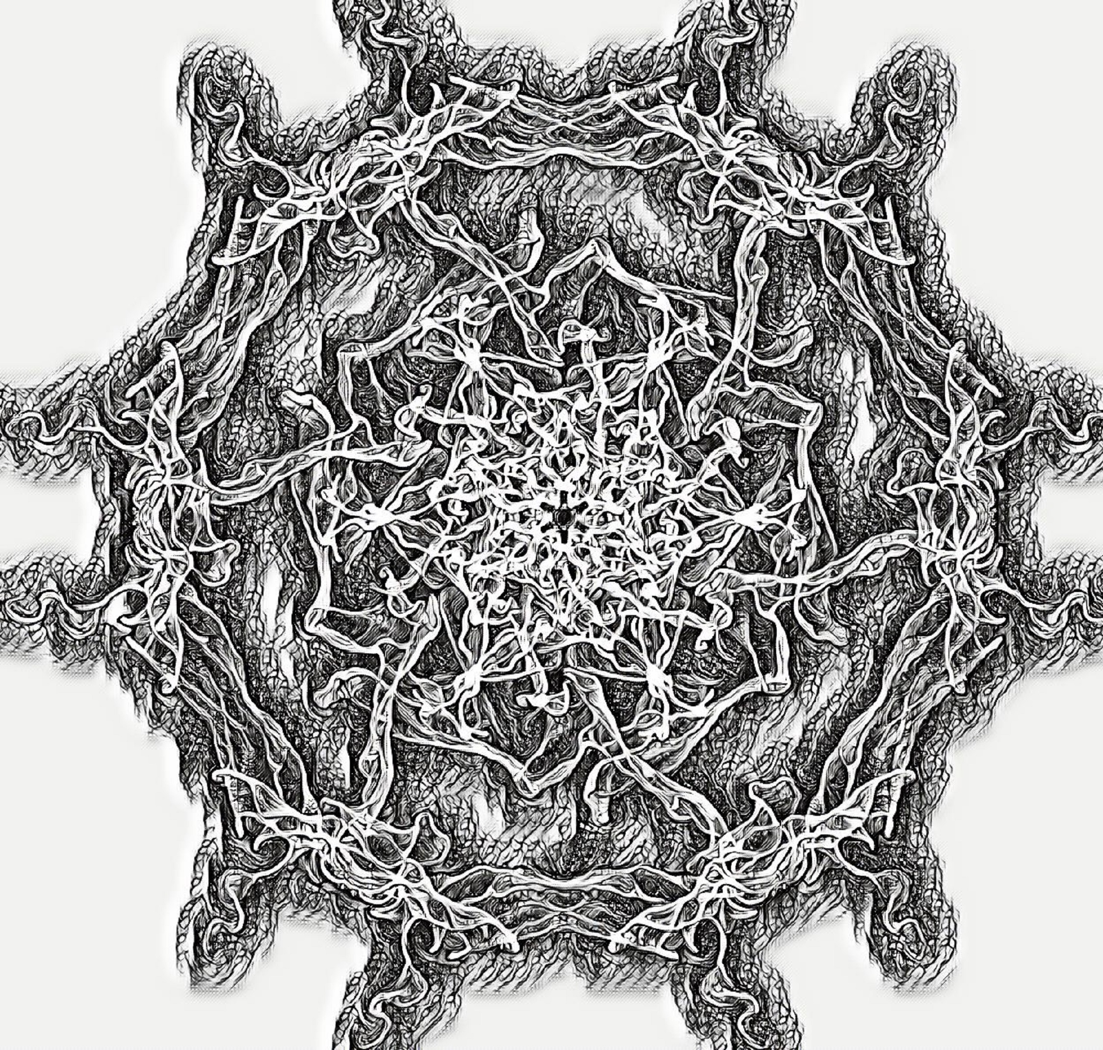 Photo taken by me 7-14-17 with kaleidoscope and Pen effect on LunaPic.com Photo taken by me 7-14-17 with kaleidoscope and Pen effect on LunaPic.com