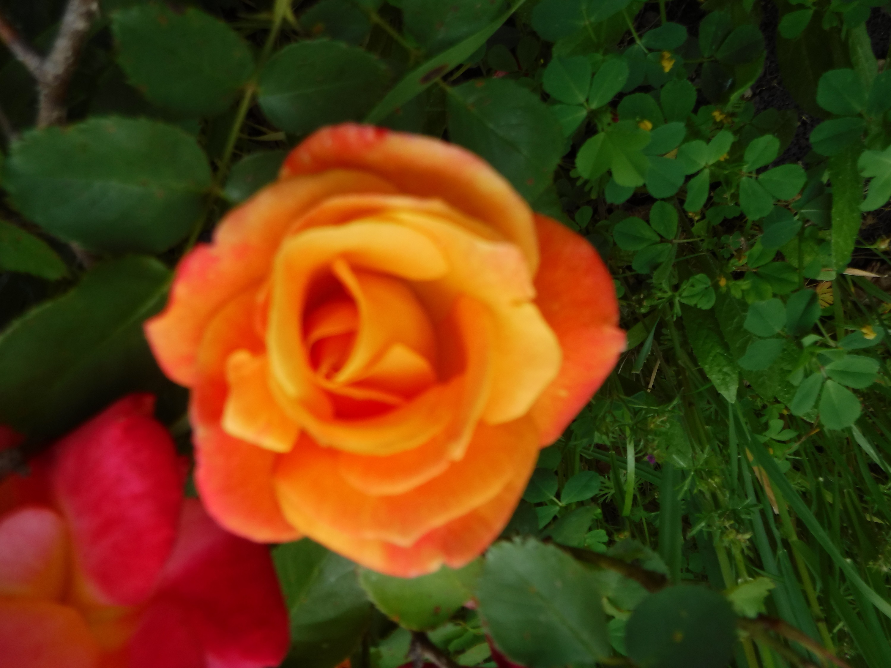 Photo taken by me Photo taken by me