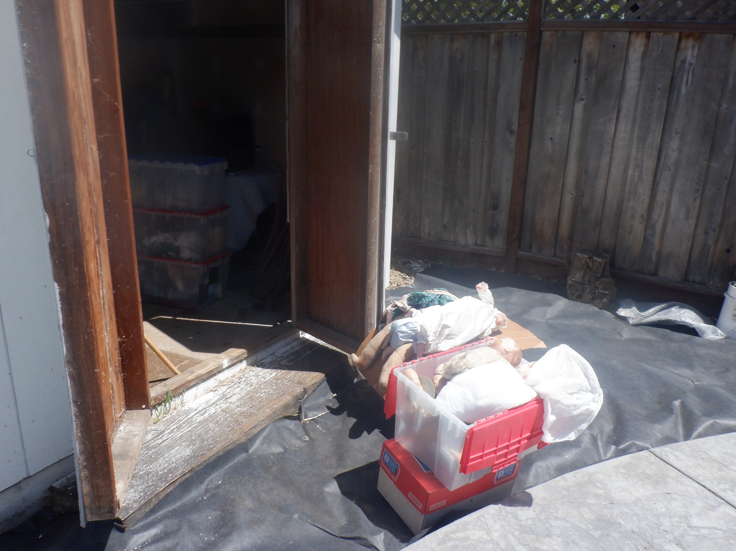 Photo I took of the shed outside with doll boxes Photo I took of the shed outside with doll boxes