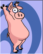 Pig - Can he touch his toes?