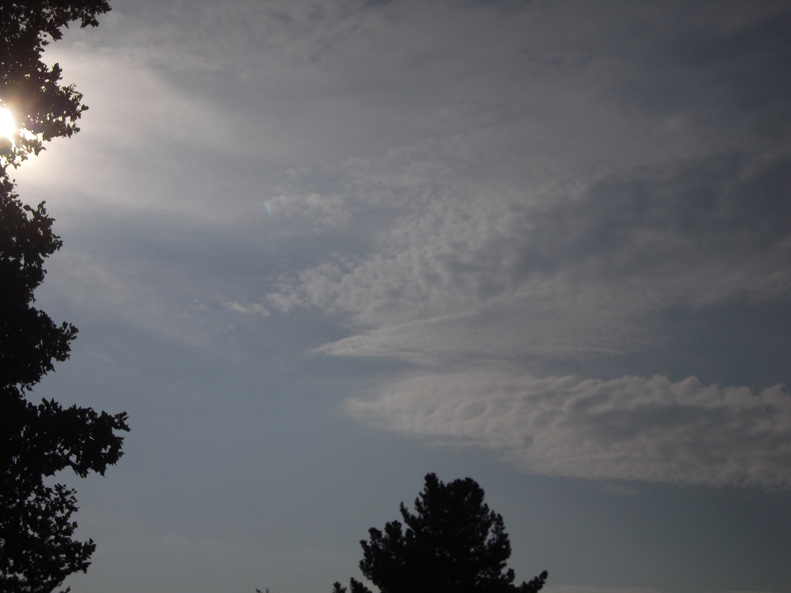 Photo taken by me 8-6-14