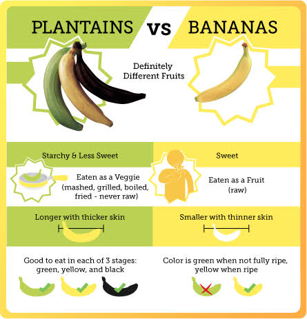 Banana plantain difference 