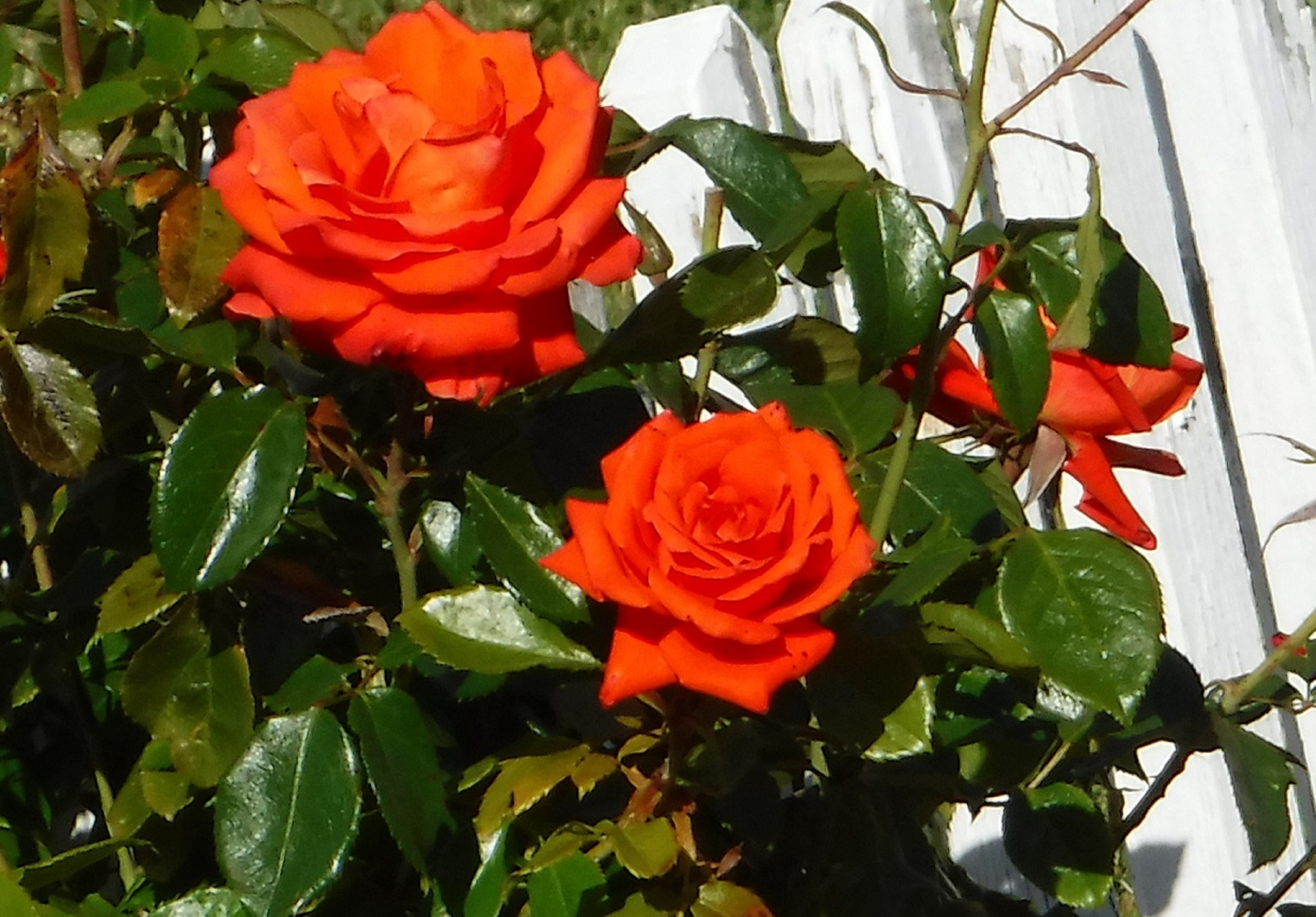 Photo taken by me